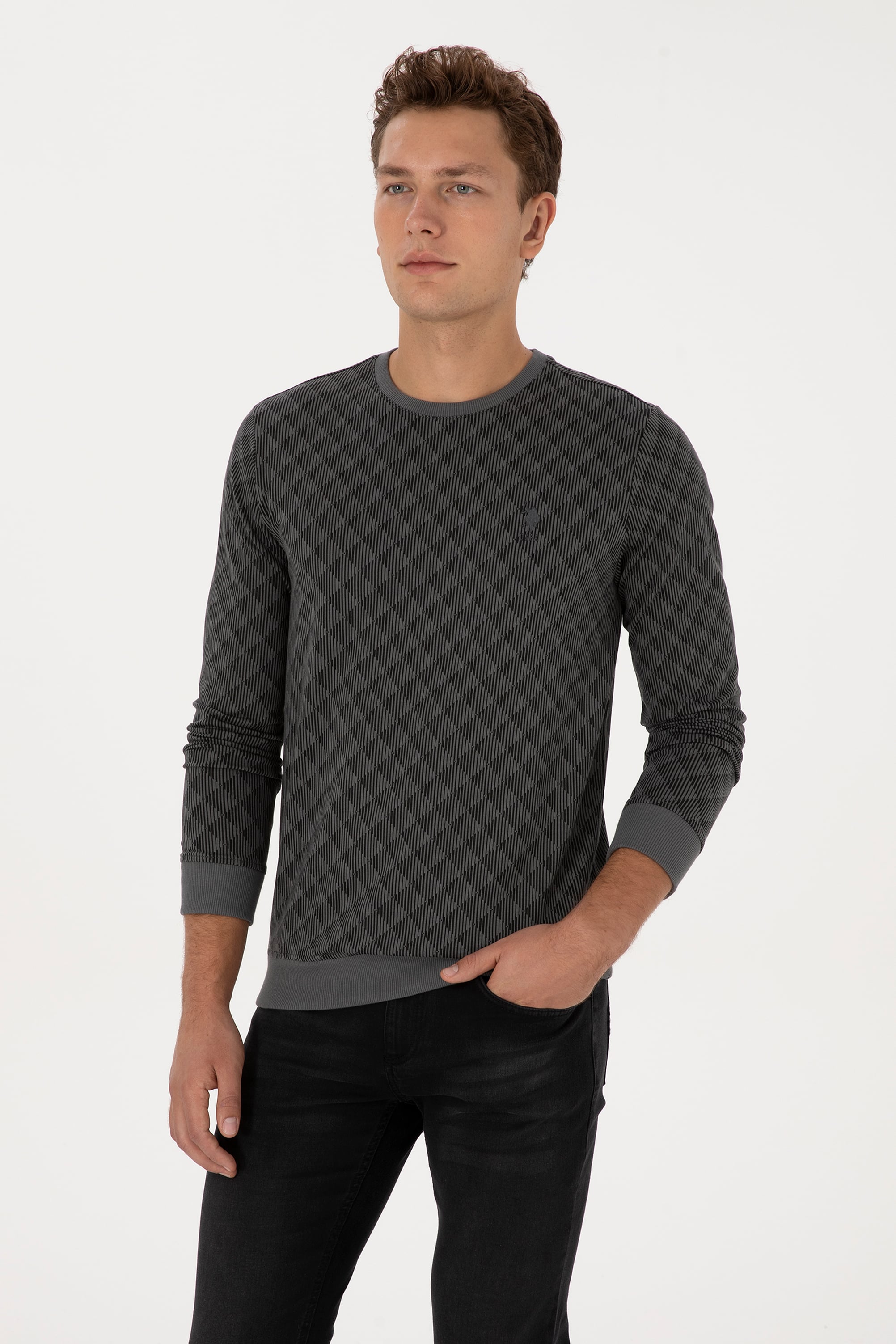 Erkek Regular Fit Bisiklet Yaka Antrasit Sweatshirt - Image 1