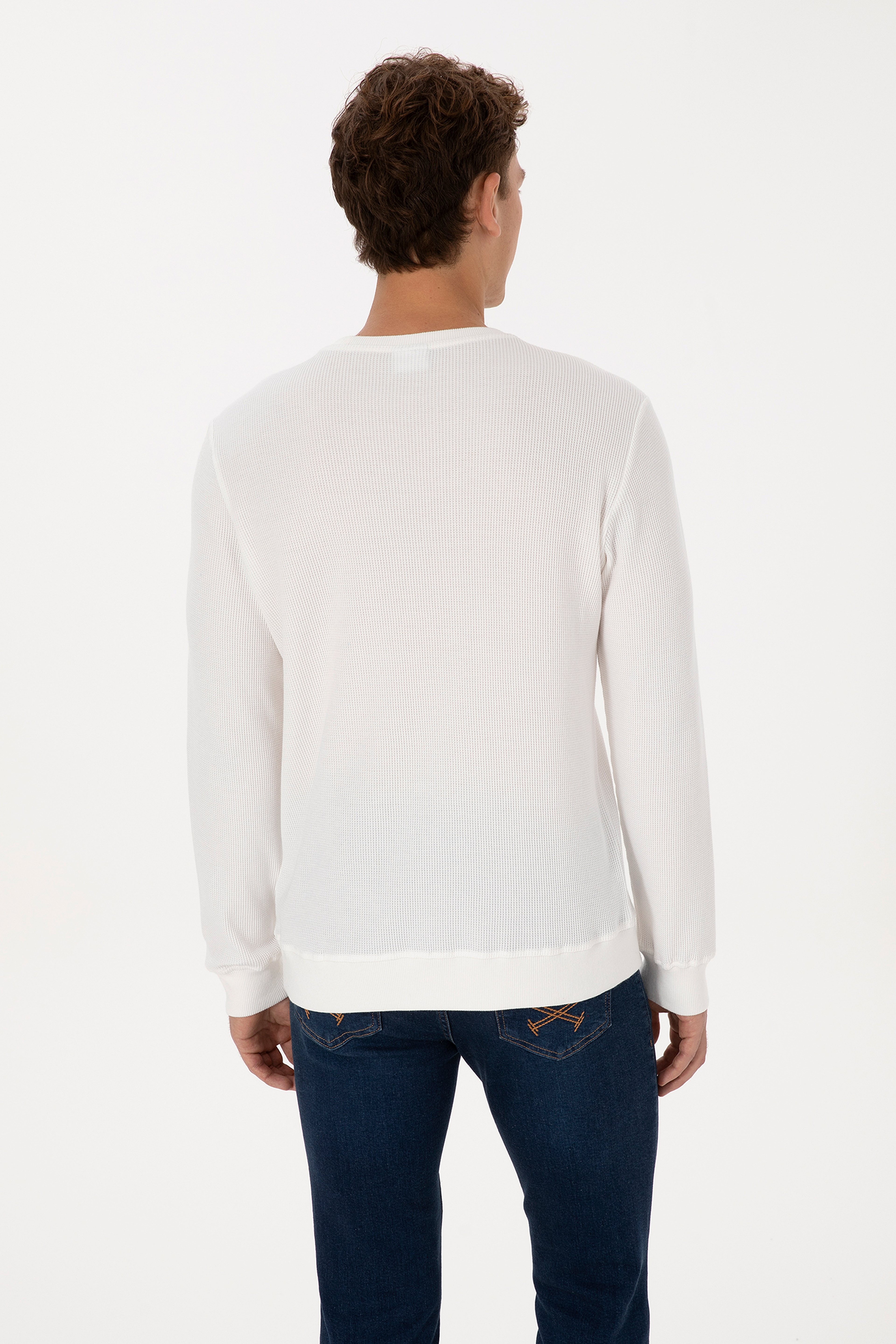 Erkek Regular Fit Bisiklet Yaka Beyaz Sweatshirt - Image 5
