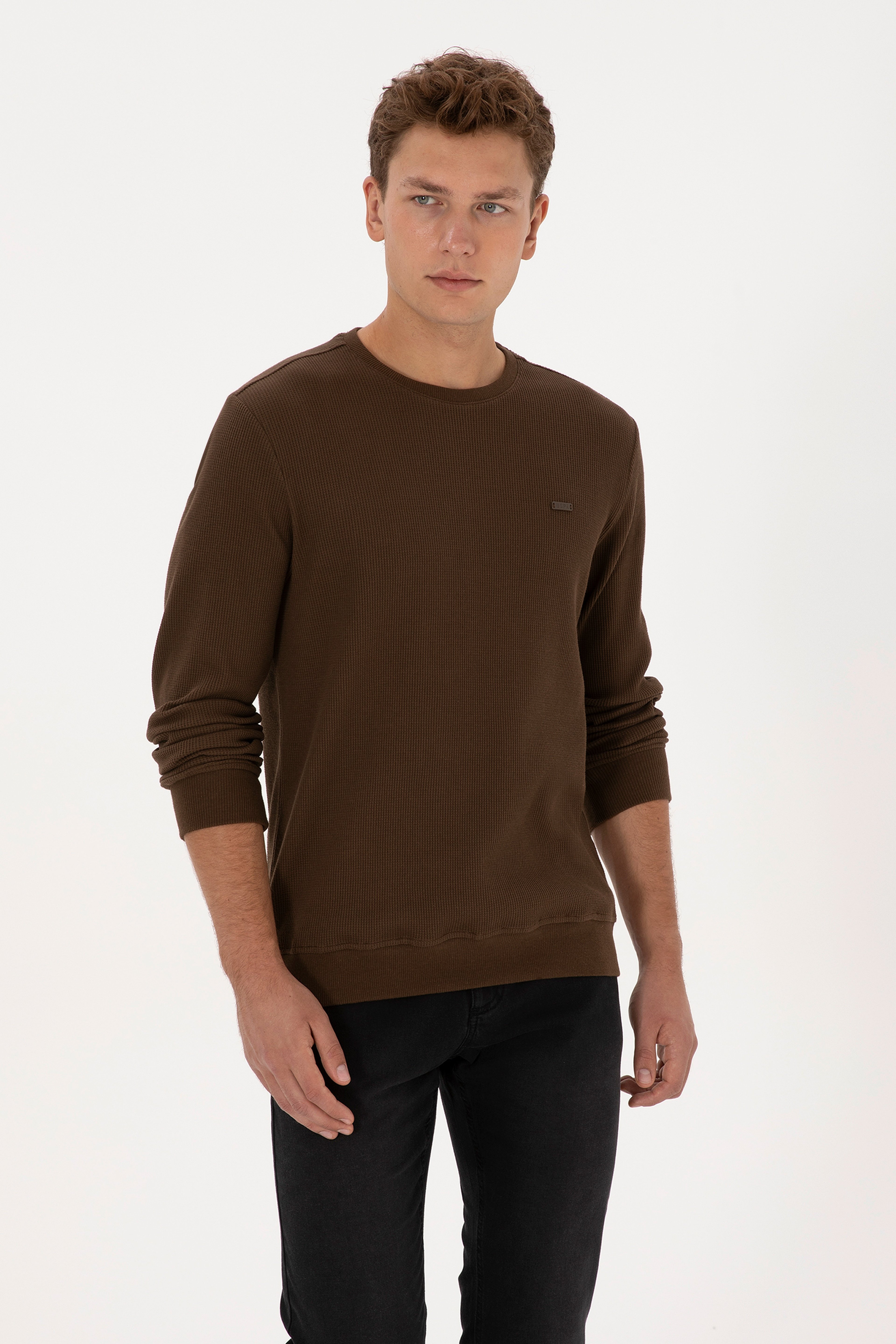 Erkek Regular Fit Bisiklet Yaka Kahverengi Sweatshirt - Image 3