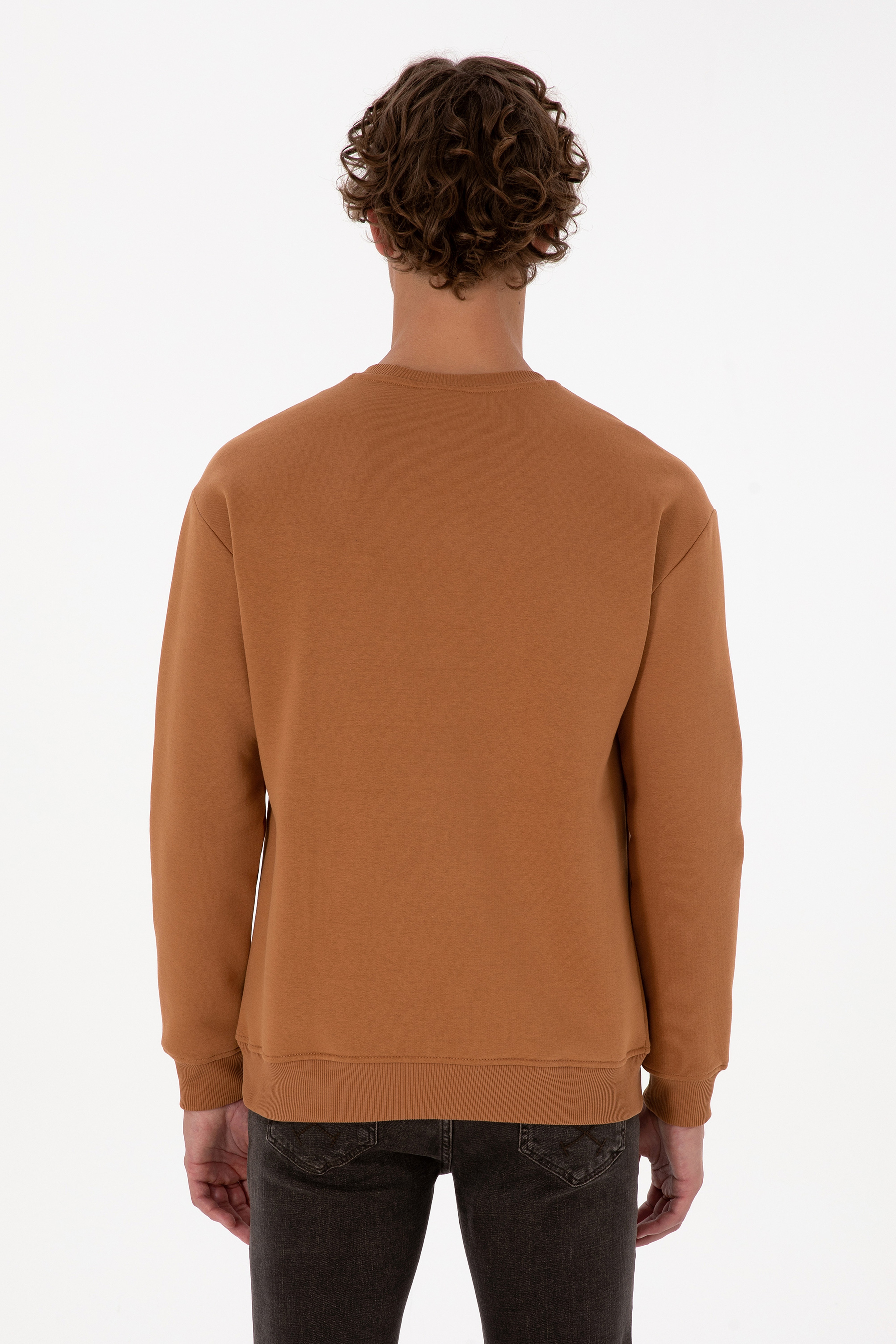 Erkek Comfort Fit Bisiklet Yaka Şardonlu Camel Basic Sweatshirt - Image 5