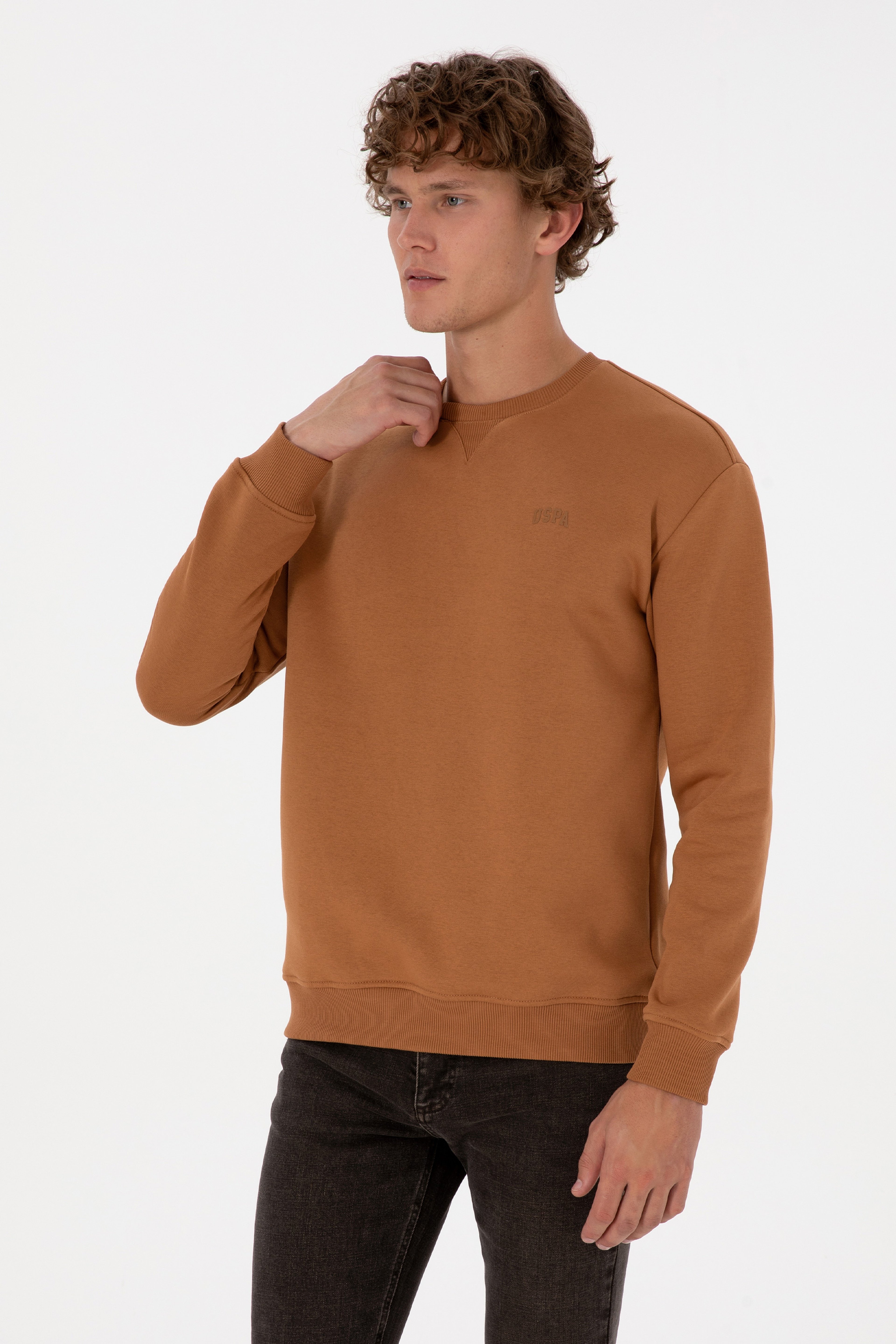 Erkek Comfort Fit Bisiklet Yaka Şardonlu Camel Basic Sweatshirt