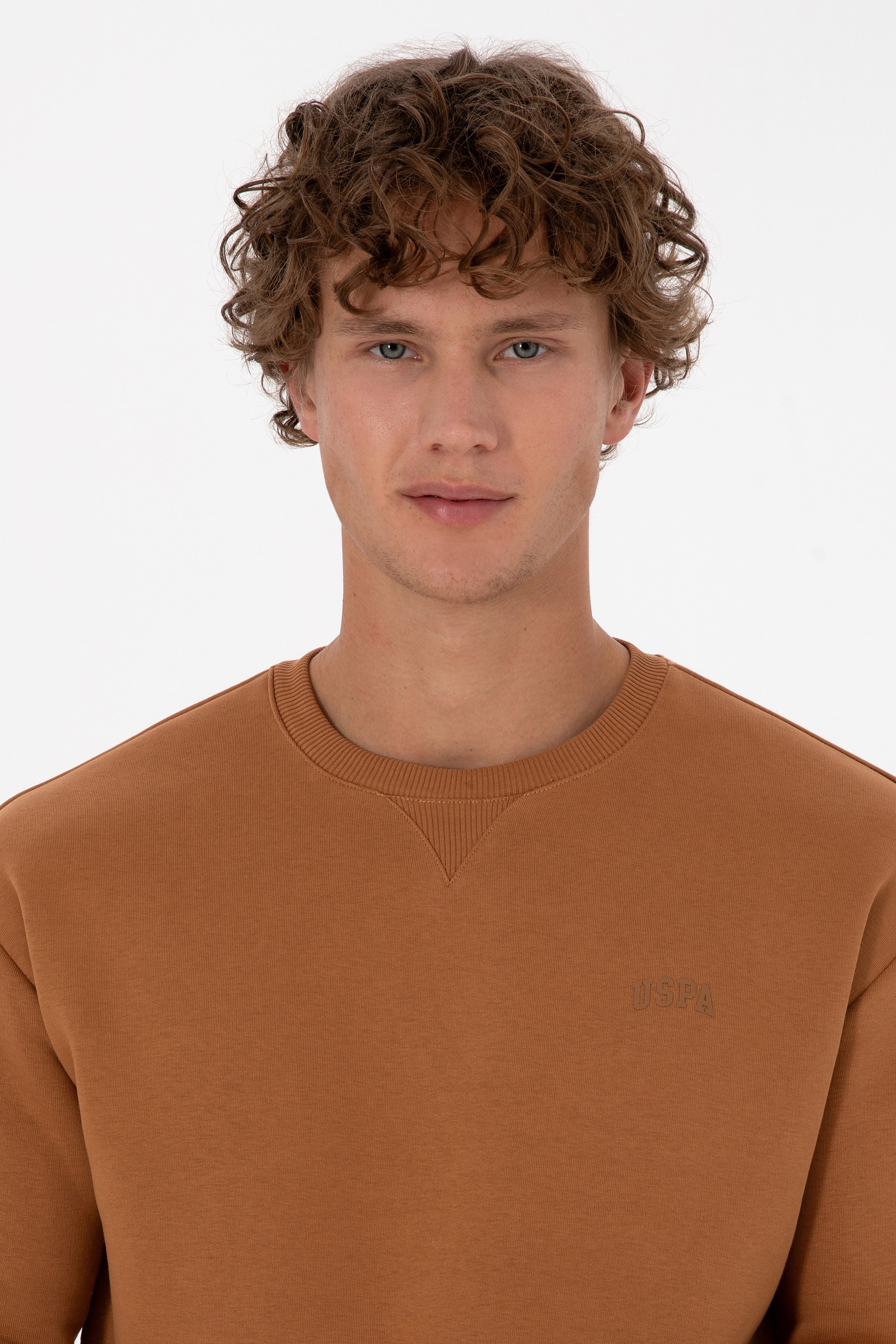 Erkek Comfort Fit Bisiklet Yaka Şardonlu Camel Basic Sweatshirt - Image 2