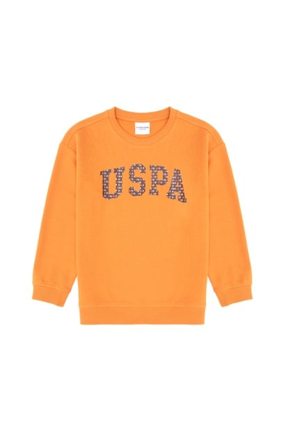 Erkek Çocuk Bakır Bisiklet Yaka İnce Sweatshirt