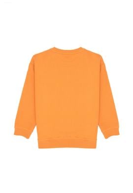 Erkek Çocuk Bakır Bisiklet Yaka İnce Sweatshirt - 50316527003