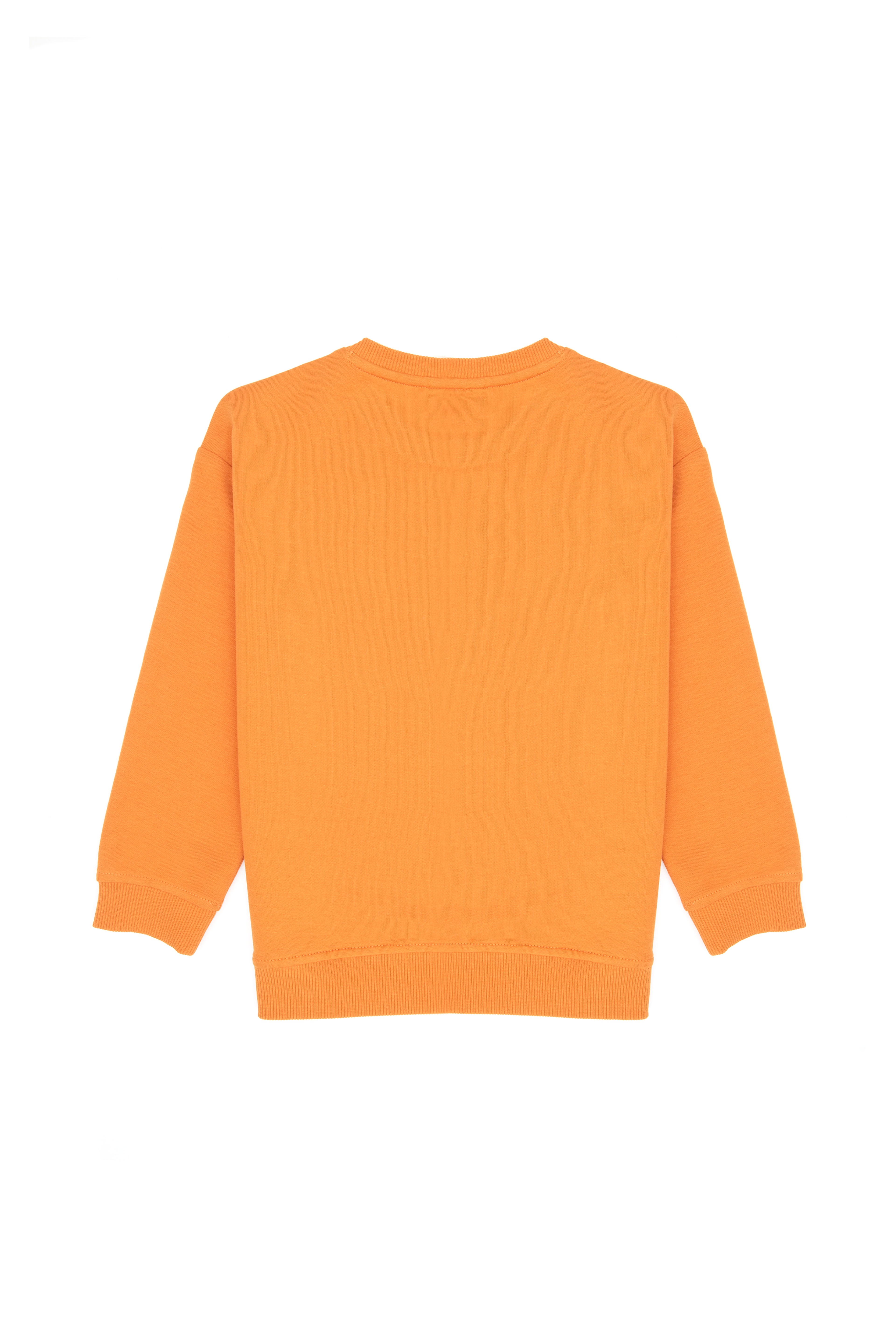 Erkek Çocuk Bakır Bisiklet Yaka İnce Sweatshirt - Image 4