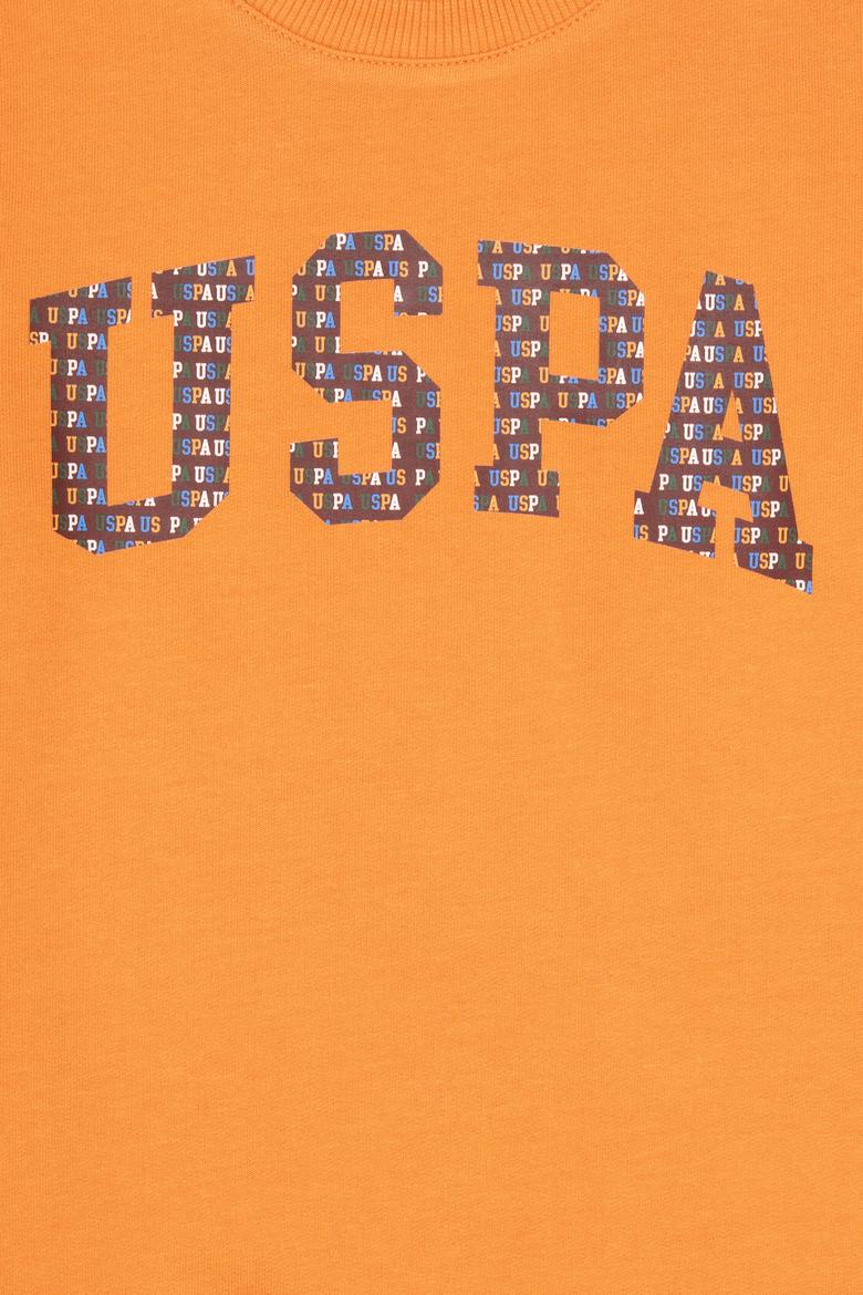 Erkek Çocuk Bakır Bisiklet Yaka İnce Sweatshirt - 50316527003