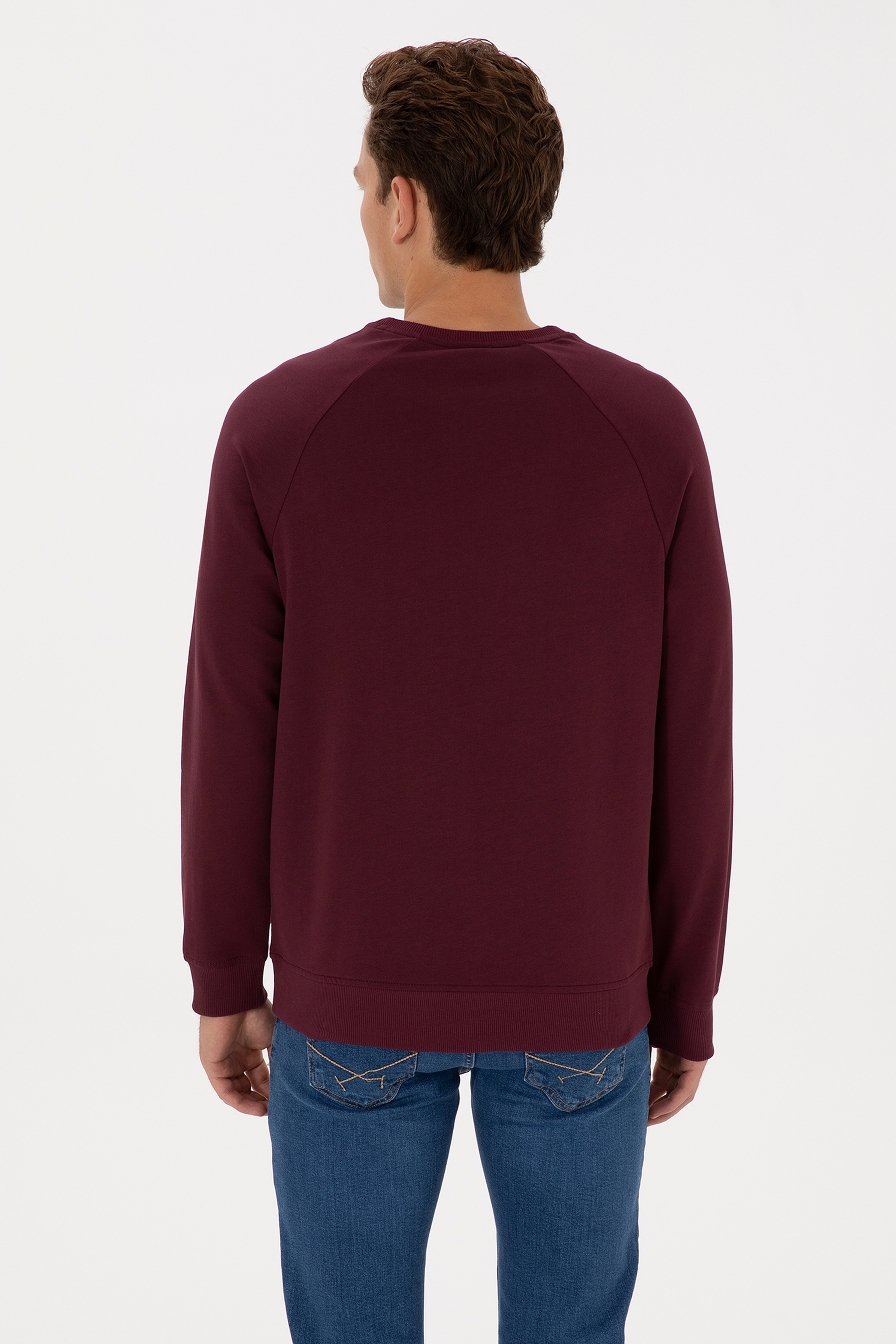Erkek Regular Fit Bisiklet Yaka Bordo Basic Sweatshirt - Image 5