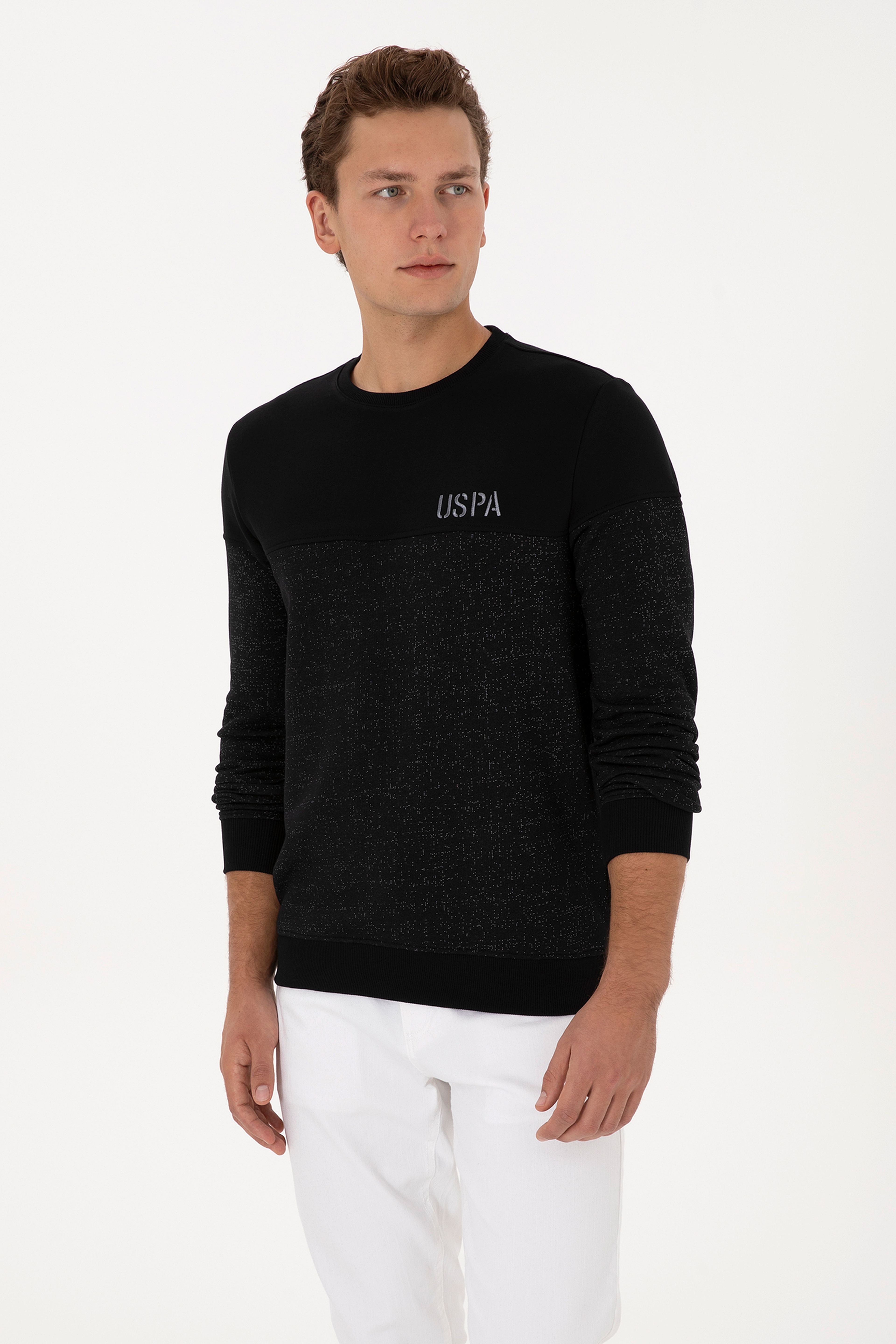 Erkek Regular Fit Bisiklet Yaka Siyah Sweatshirt - Image 3