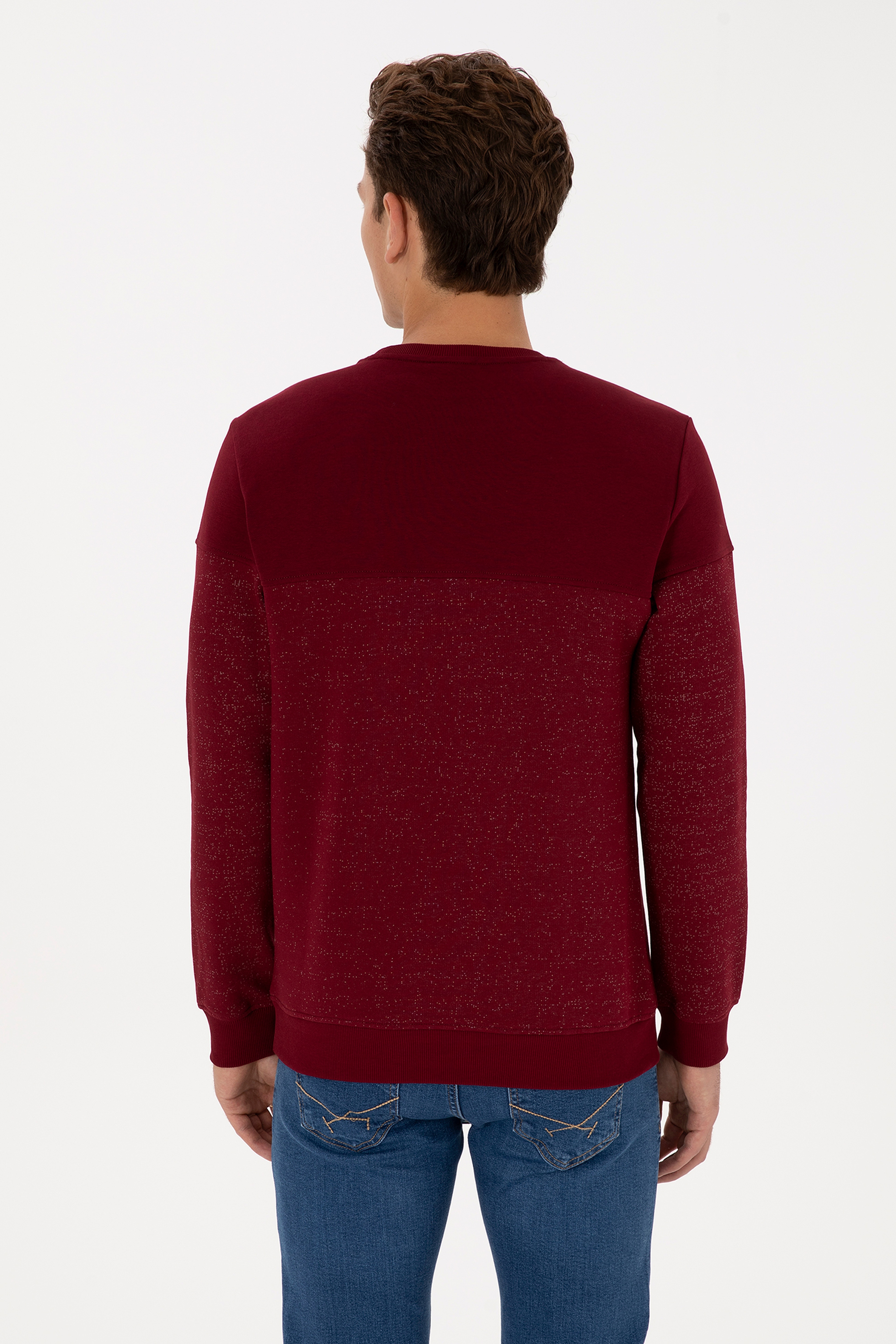 Erkek Regular Fit Bisiklet Yaka Bordo Sweatshirt - Image 5