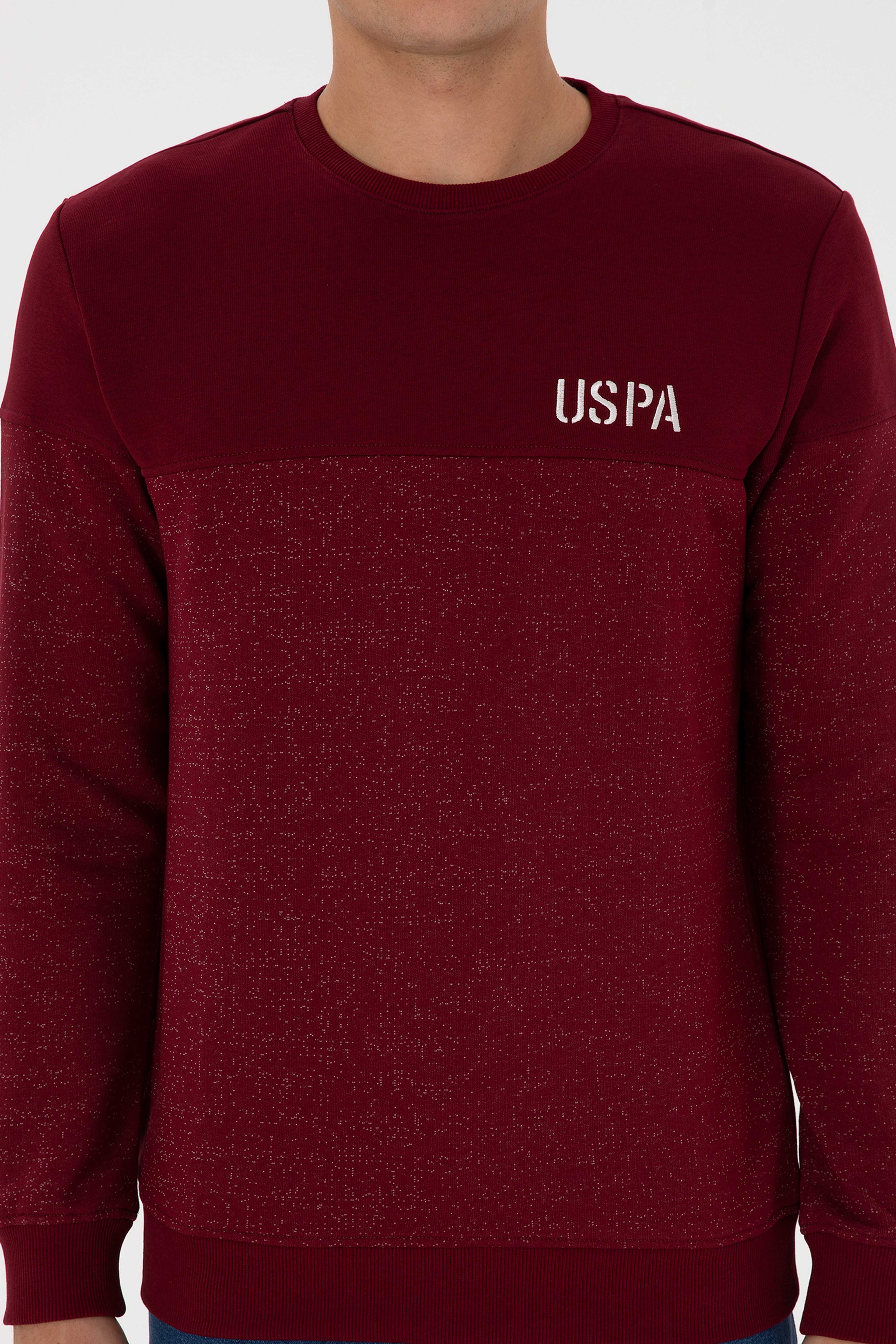 Erkek Regular Fit Bisiklet Yaka Bordo Sweatshirt - Image 6