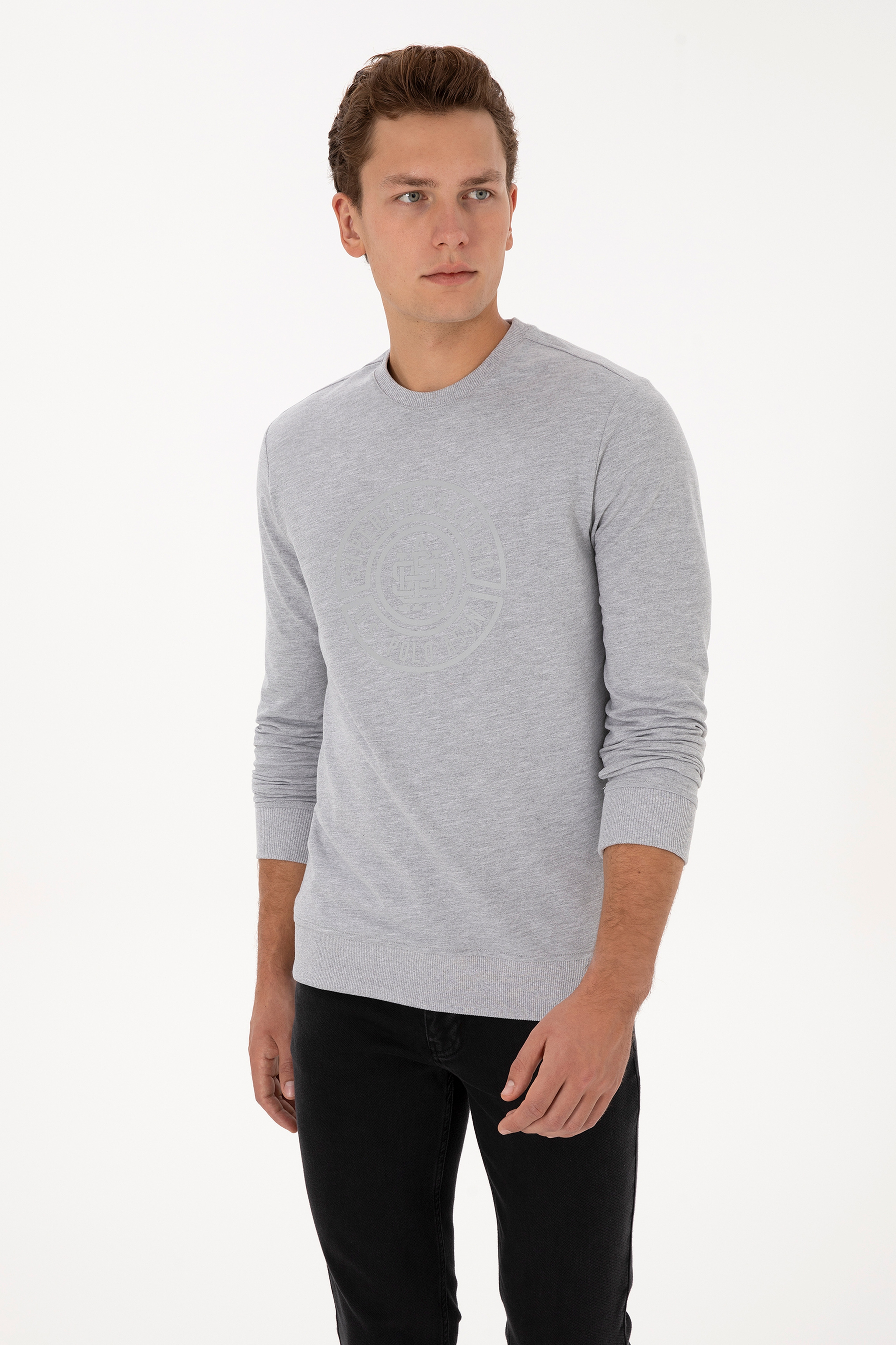Erkek Regular Fit Bisiklet Yaka Gri Melanj İnce Sweatshirt