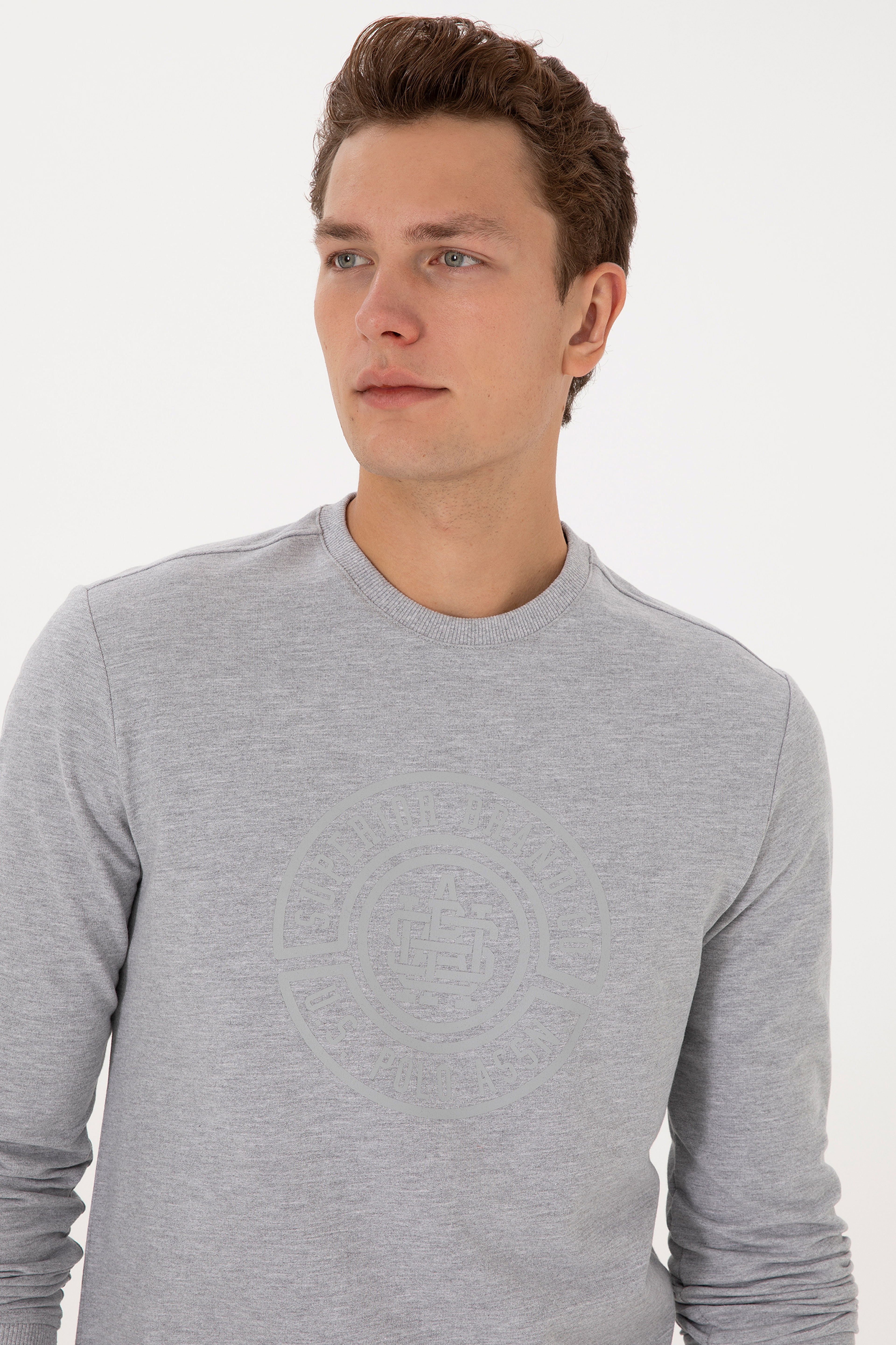 Erkek Regular Fit Bisiklet Yaka Gri Melanj İnce Sweatshirt - Image 2