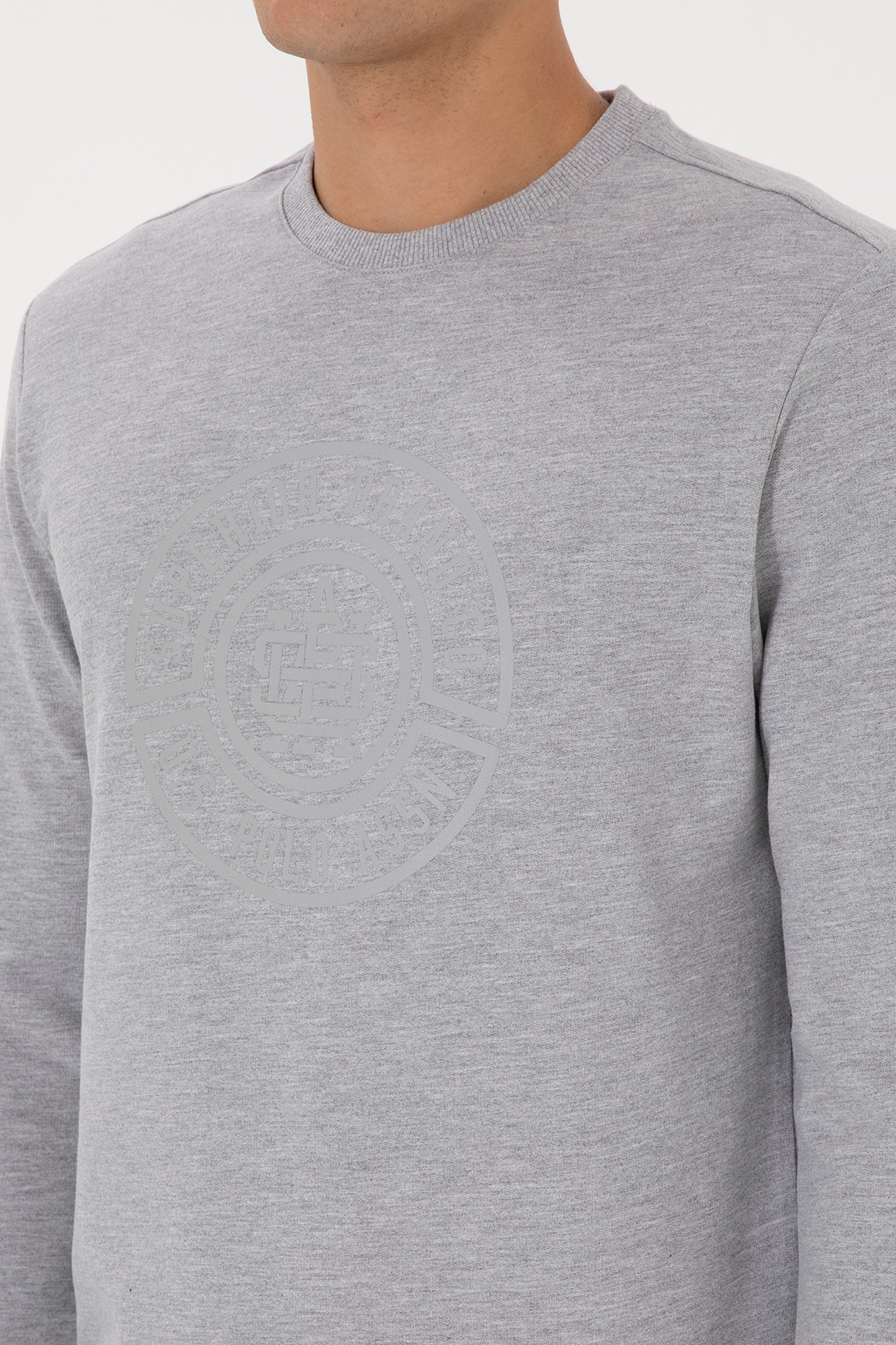 Erkek Regular Fit Bisiklet Yaka Gri Melanj İnce Sweatshirt