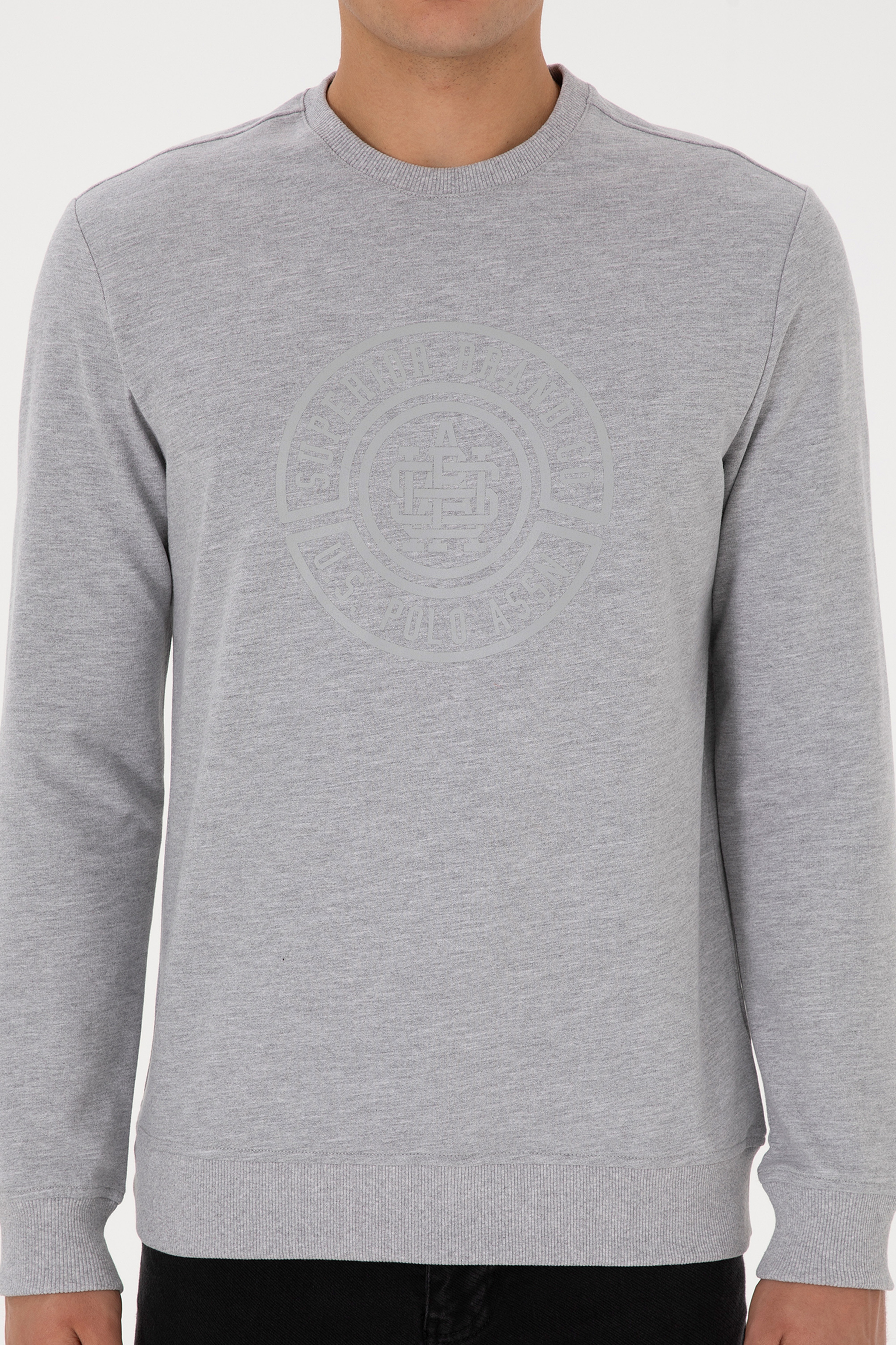 Erkek Regular Fit Bisiklet Yaka Gri Melanj İnce Sweatshirt