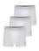 Erkek 3'lü Boxer Takımı