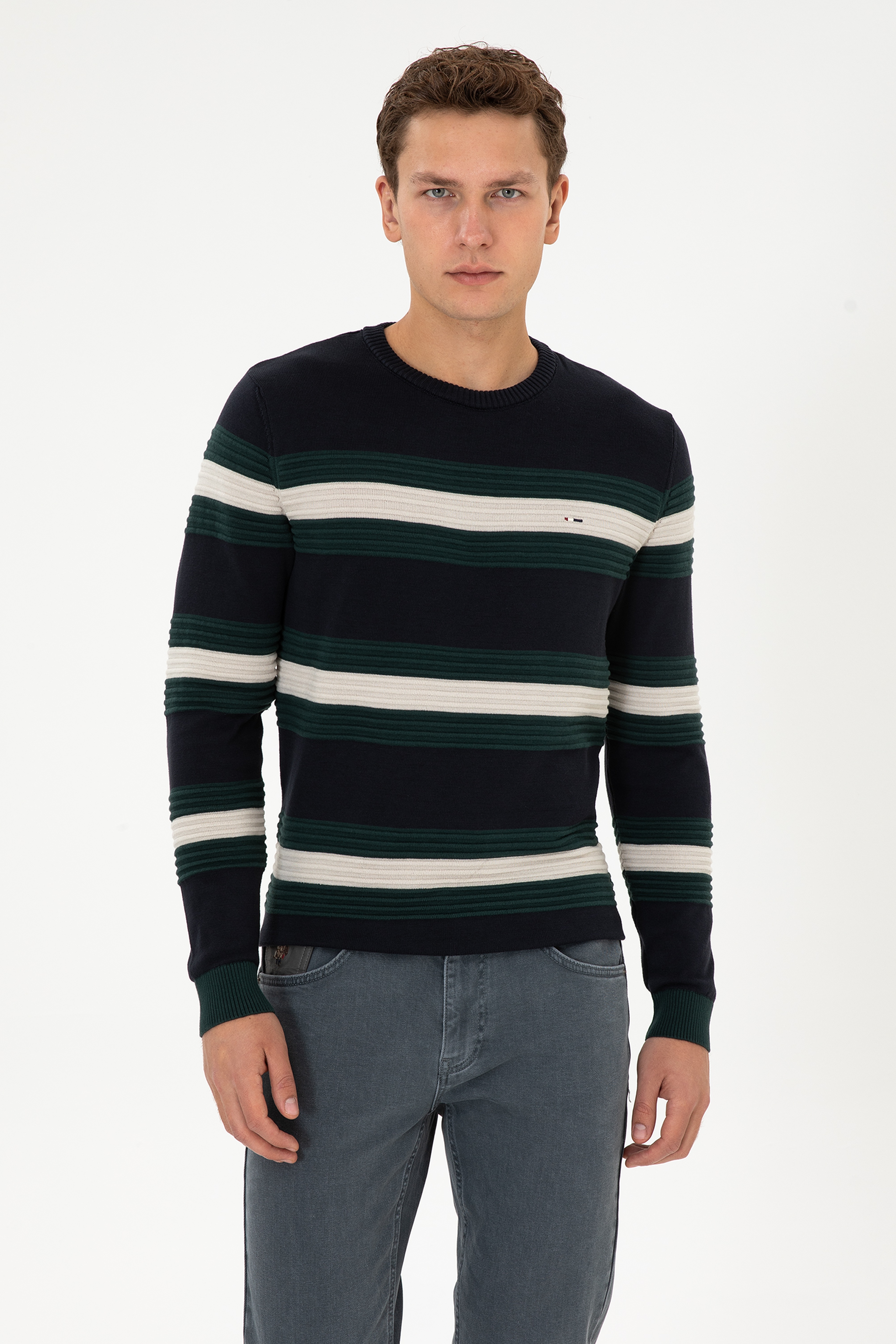 Erkek Regular Fit Bisiklet Yaka Lacivert Kazak - Image 1