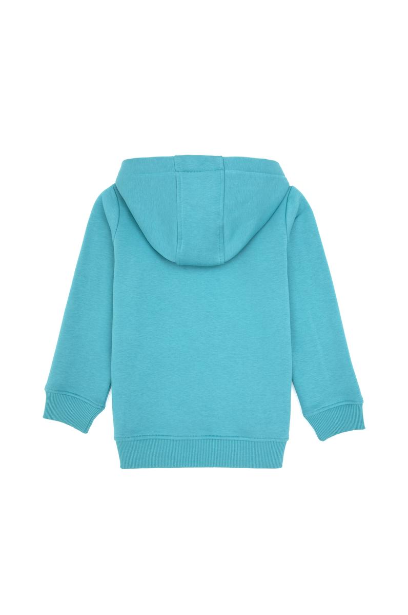 Erkek Çocuk Mint Kapüşonlu Basic Sweatshirt