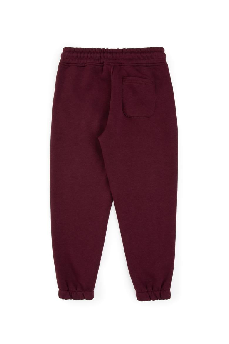 Erkek Çocuk Bordo Eşofman Altı - 50313976120