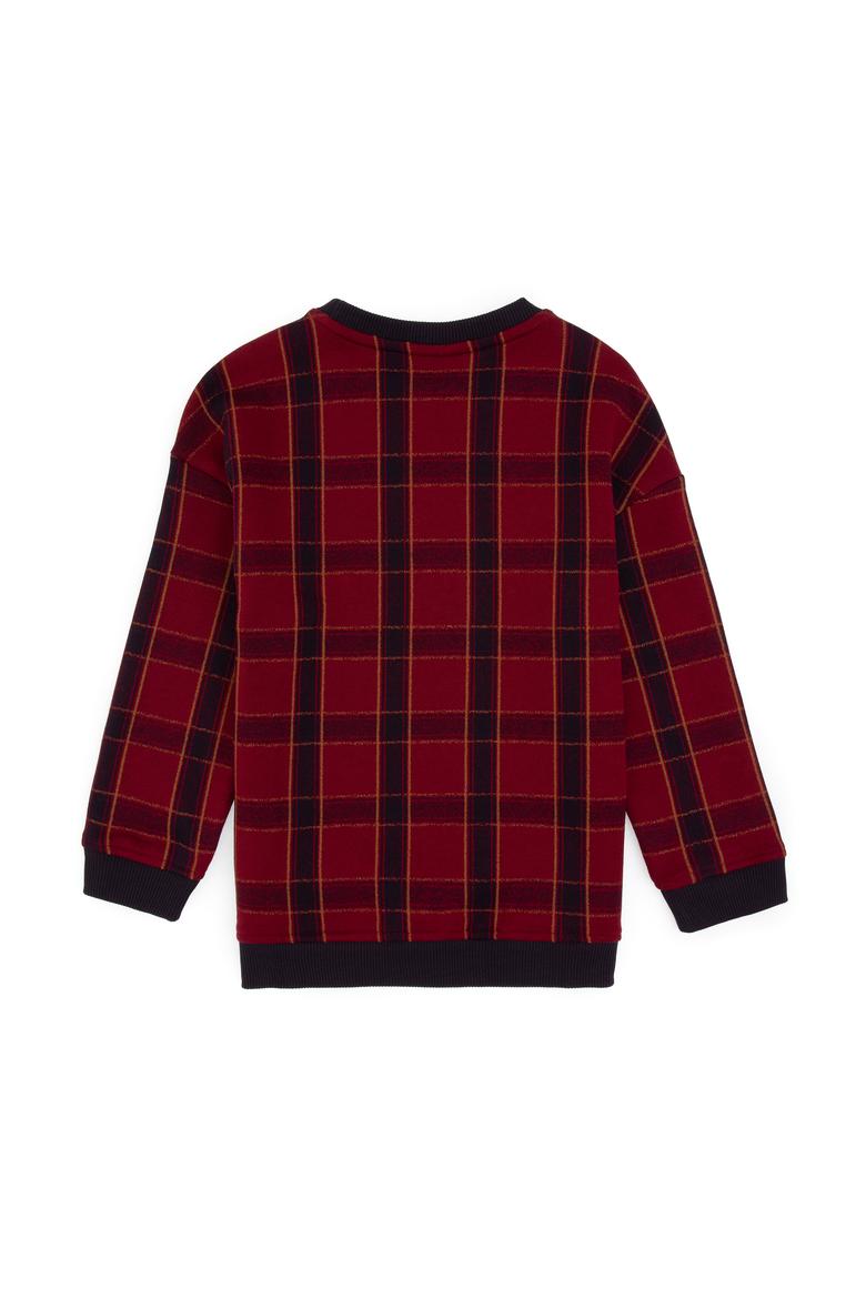 Erkek Çocuk Bordo Bisiklet Yaka Sweatshirt - 50316520022