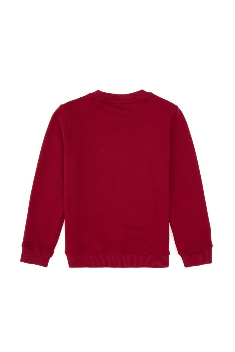 Erkek Çocuk Koyu Frambuaz Bisiklet Yaka Sweatshirt - 50316510022