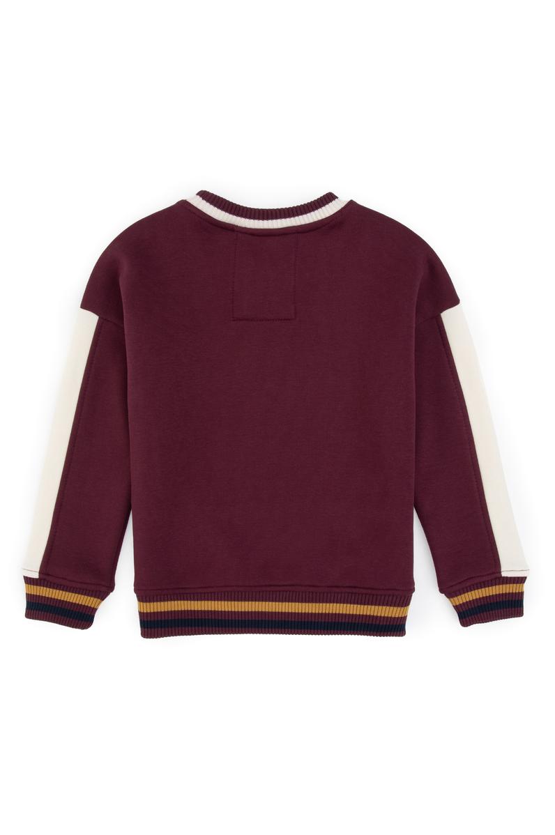 Erkek Çocuk Bordo Bisiklet Yaka Sweatshirt