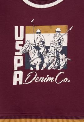 Erkek Çocuk Bordo Bisiklet Yaka Sweatshirt - 50308572016