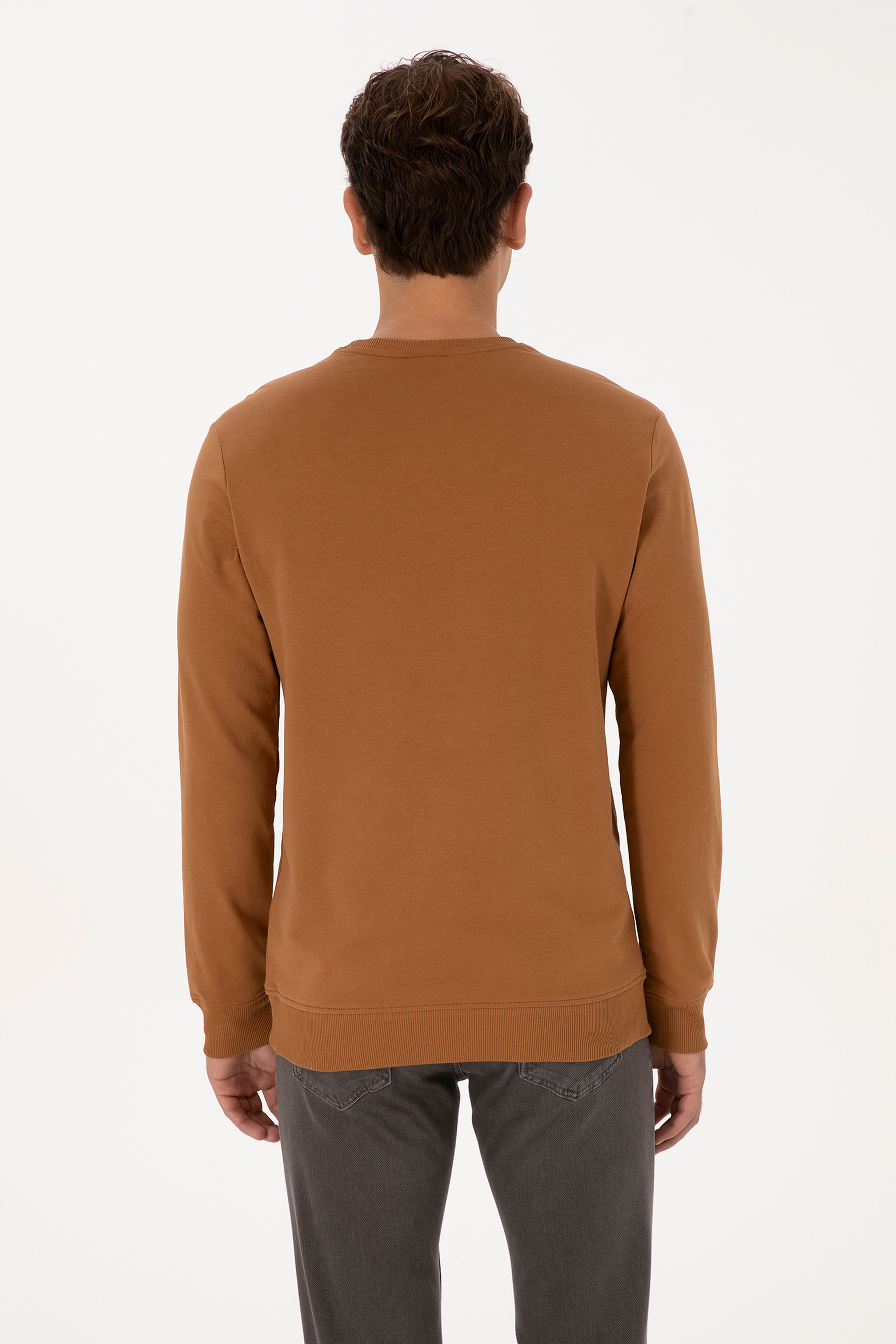 Erkek Regular Fit Bisiklet Yaka Camel Basic Sweatshirt - Image 5