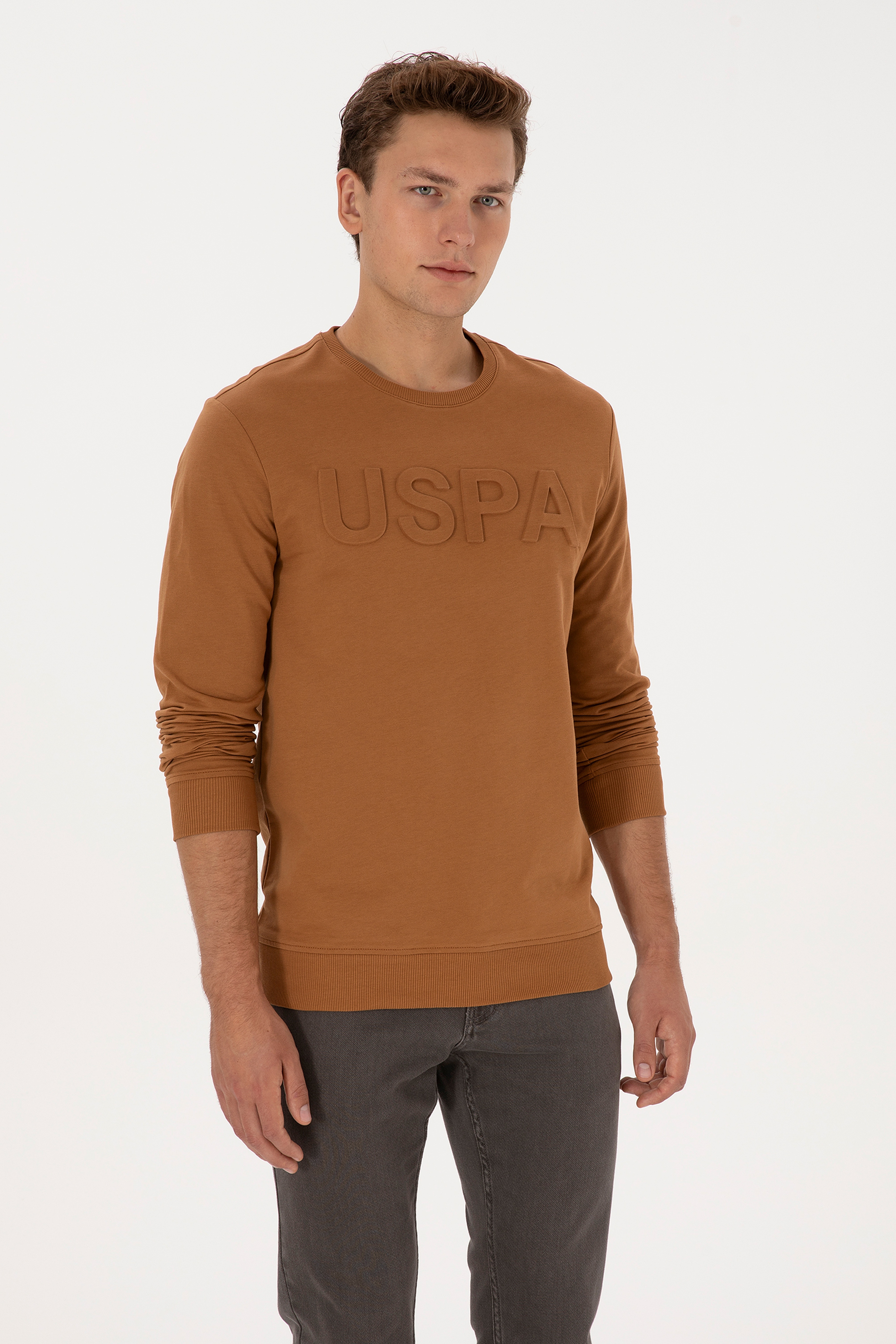 Erkek Regular Fit Bisiklet Yaka Camel Basic Sweatshirt - Image 1
