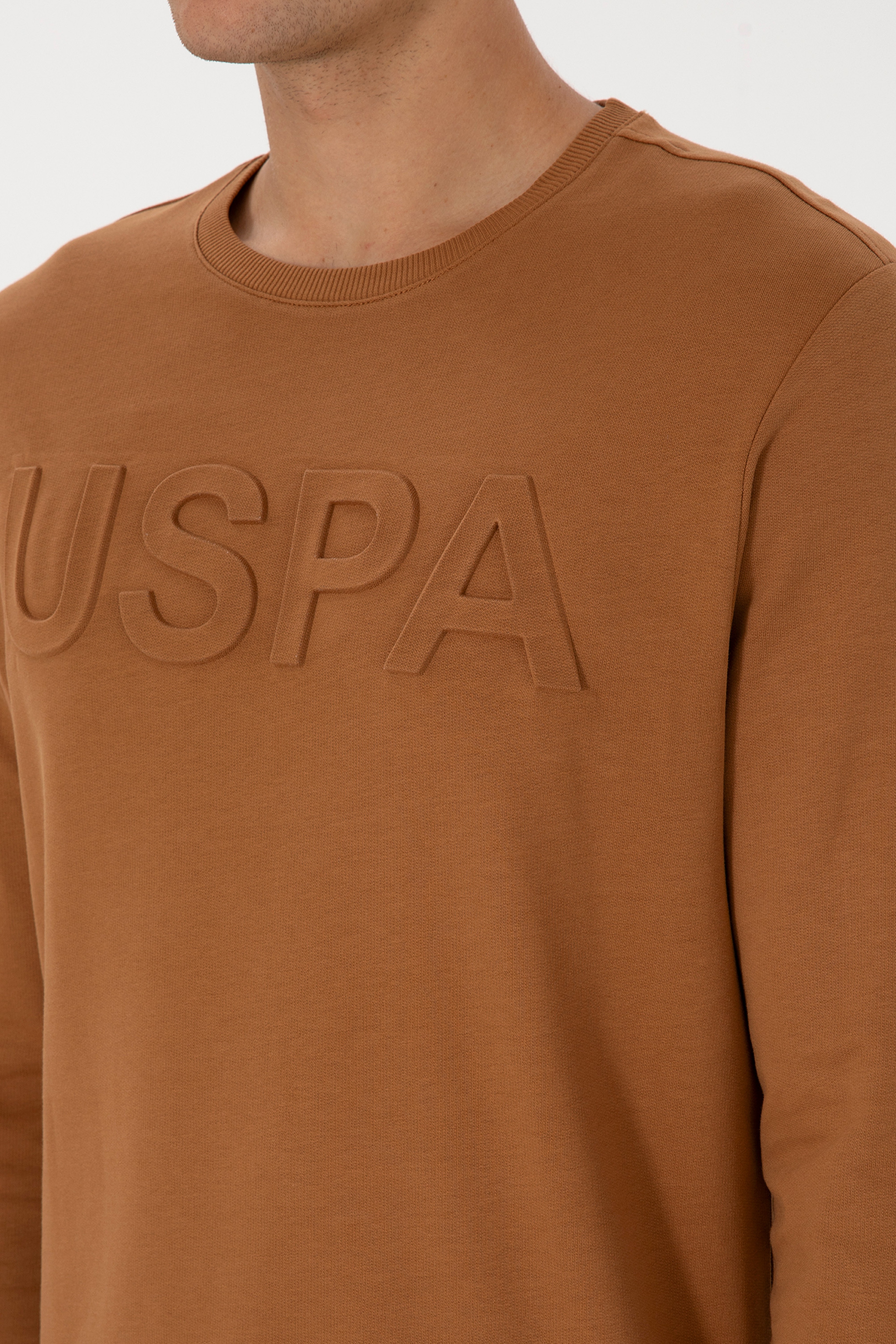 Erkek Regular Fit Bisiklet Yaka Camel Basic Sweatshirt - Image 7