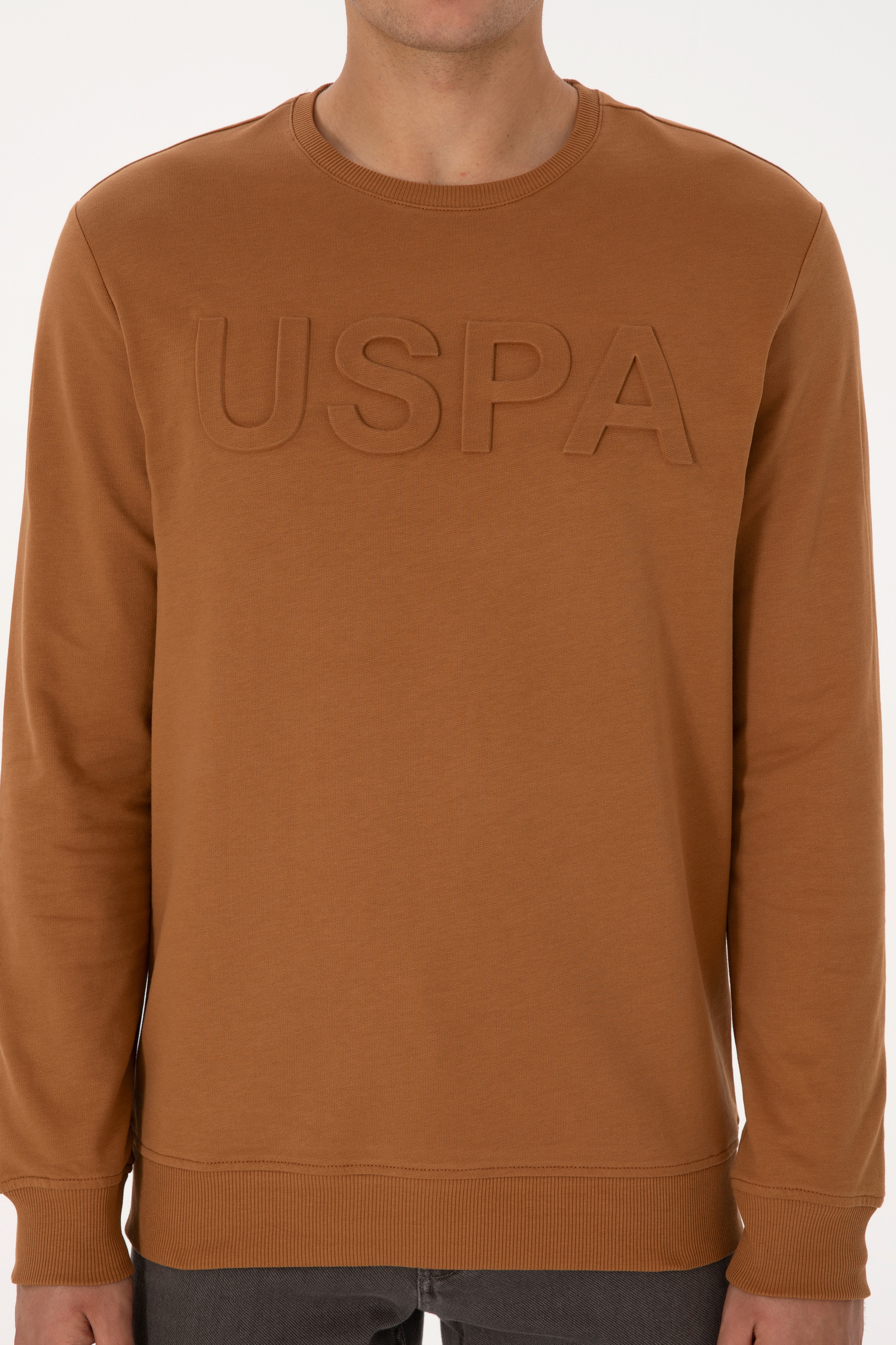 Erkek Regular Fit Bisiklet Yaka Camel Basic Sweatshirt - Image 6