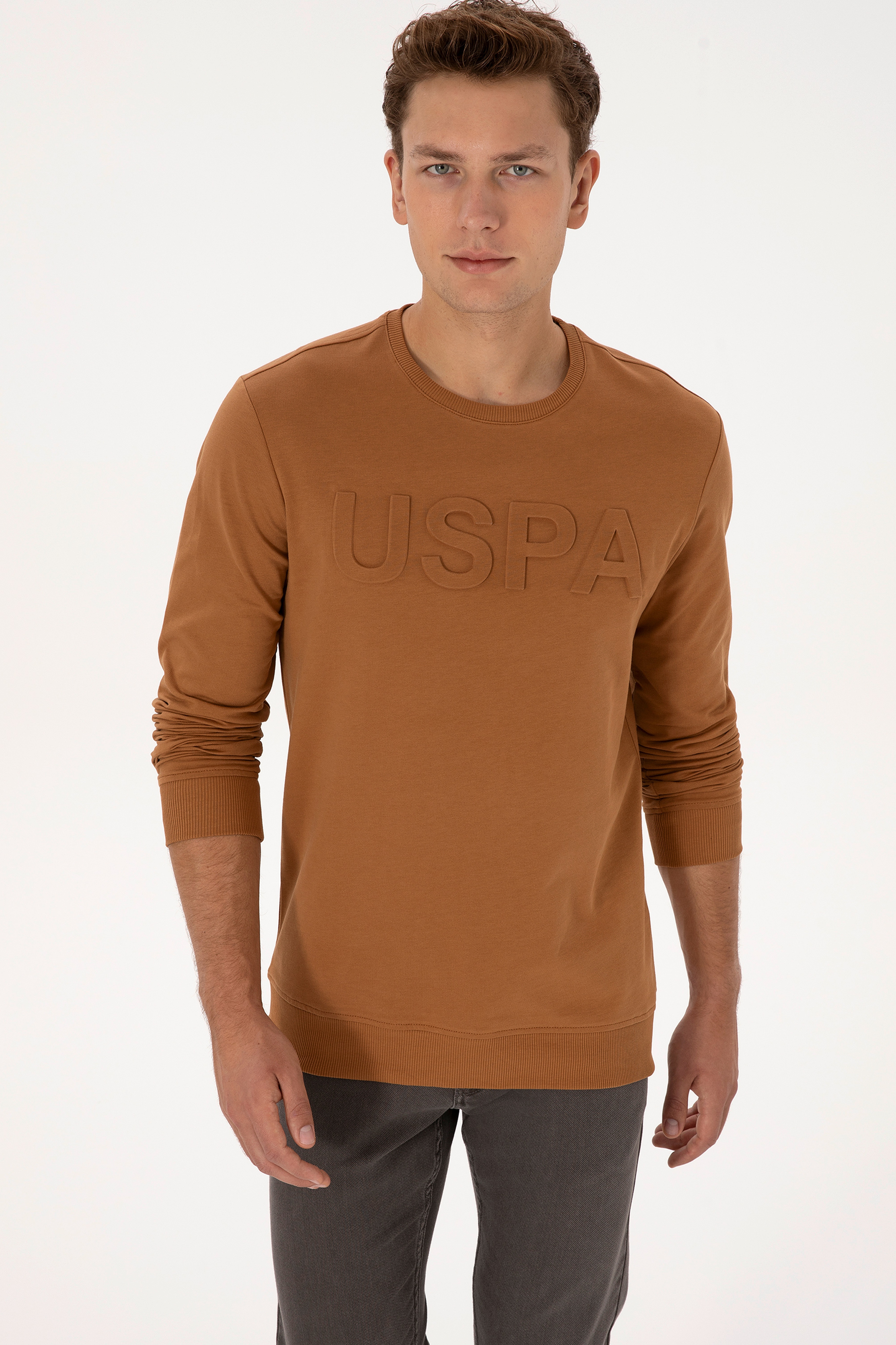 Erkek Regular Fit Bisiklet Yaka Camel Basic Sweatshirt