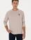 Erkek Regular Fit Bisiklet Yaka Taş Basic Sweatshirt