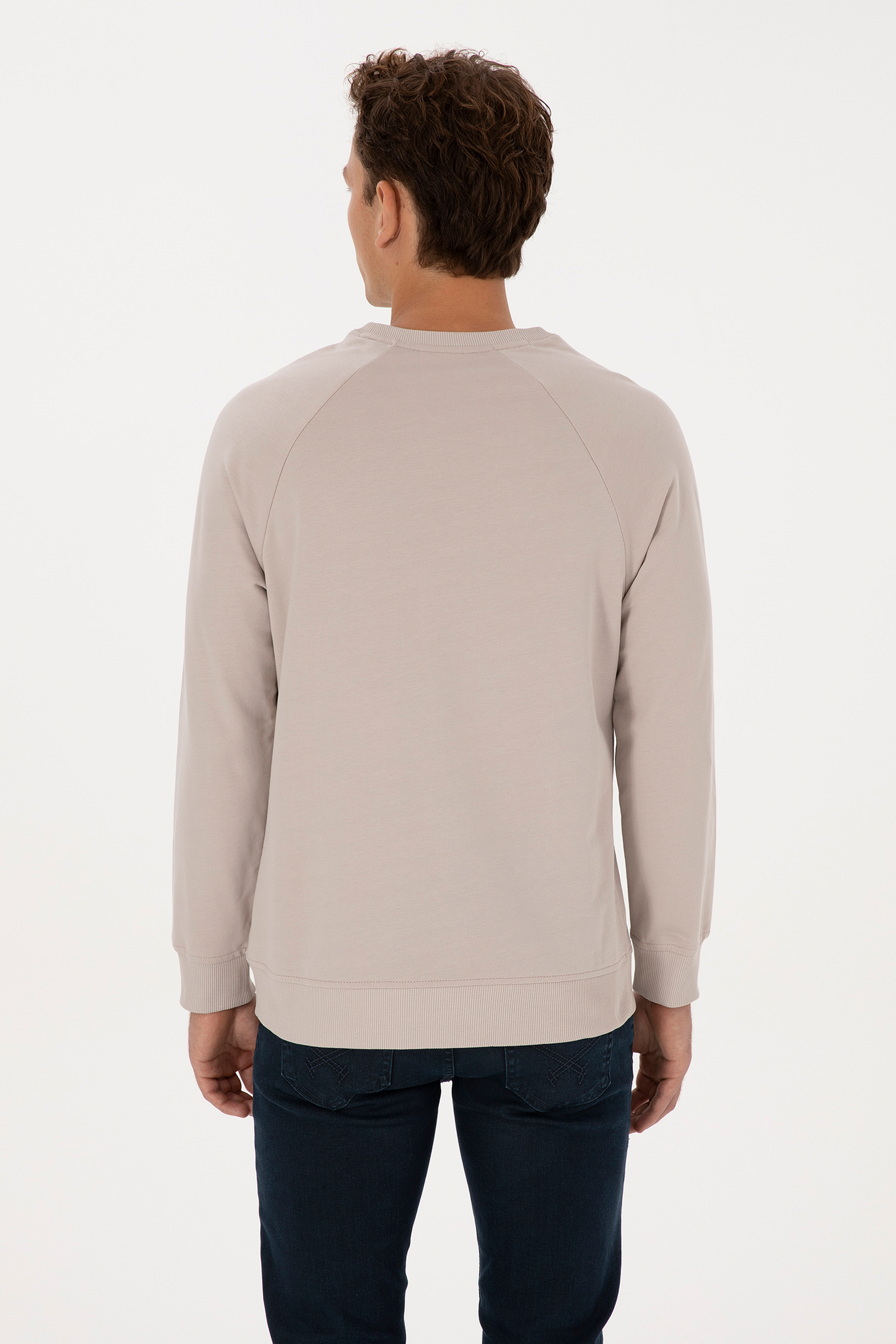 Erkek Regular Fit Bisiklet Yaka Taş Basic Sweatshirt - Image 5