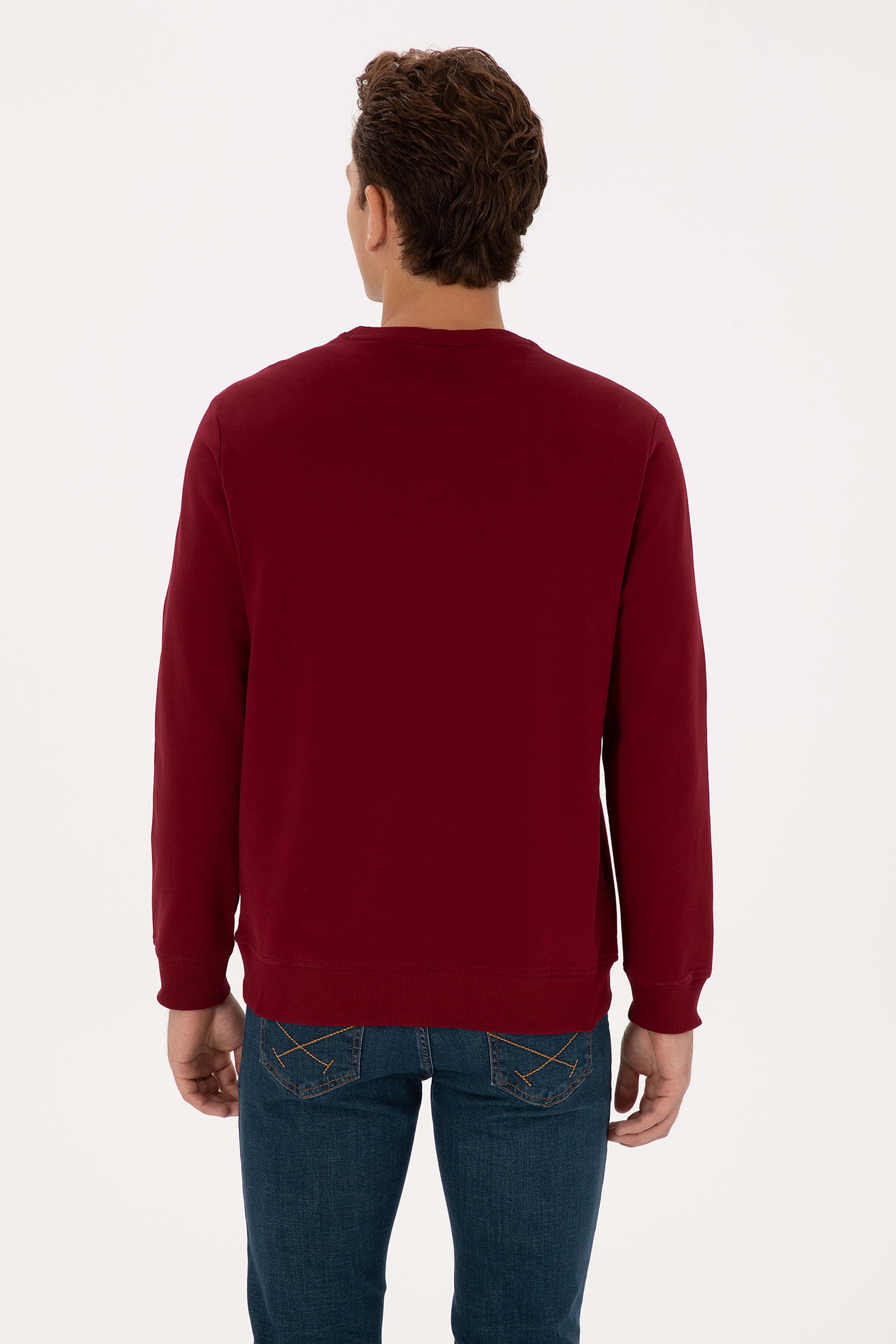 Erkek Regular Fit Bisiklet Yaka Bordo Basic Sweatshirt - Image 5