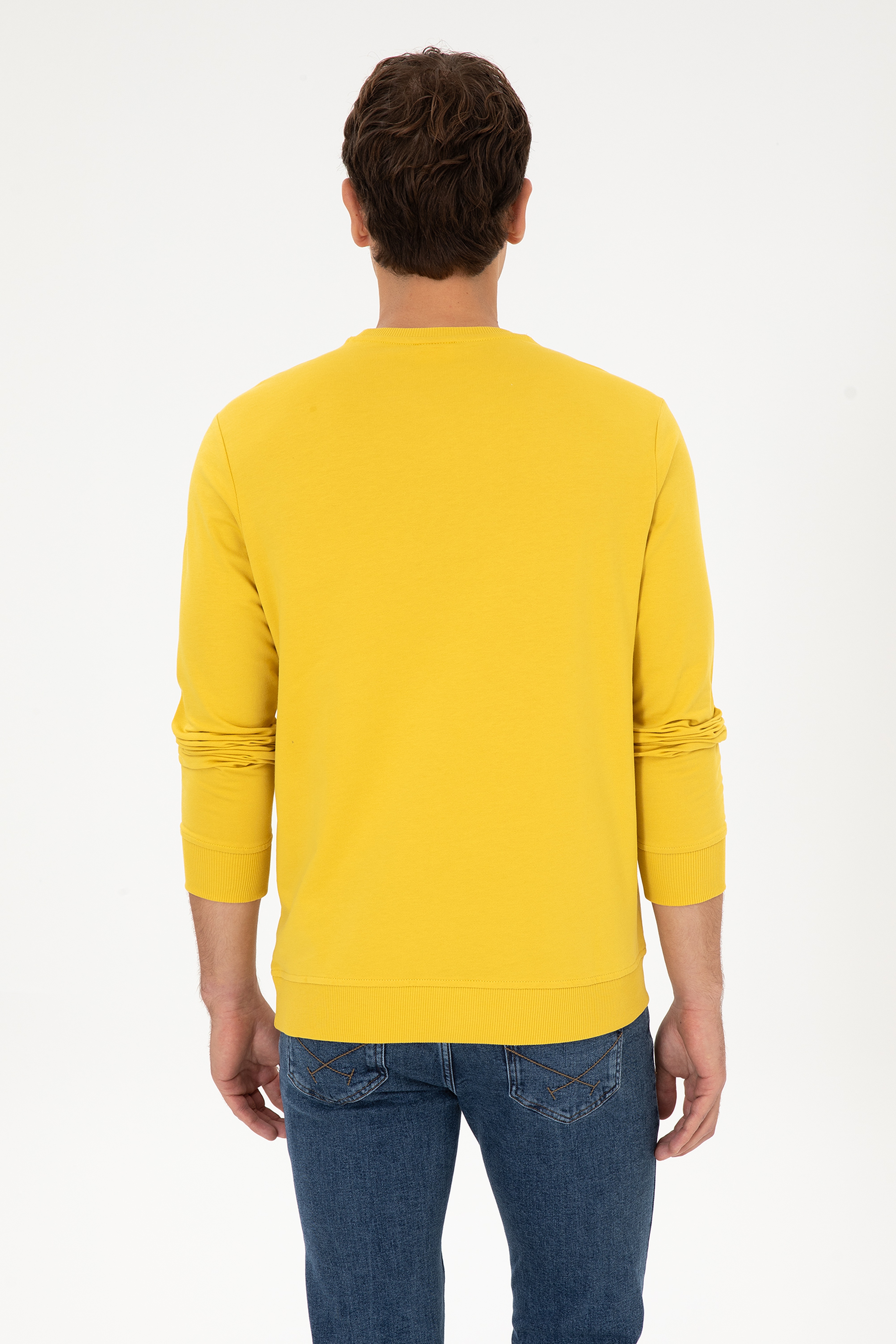 Erkek Regular Fit Bisiklet Yaka Sarı Basic Sweatshirt - Image 5