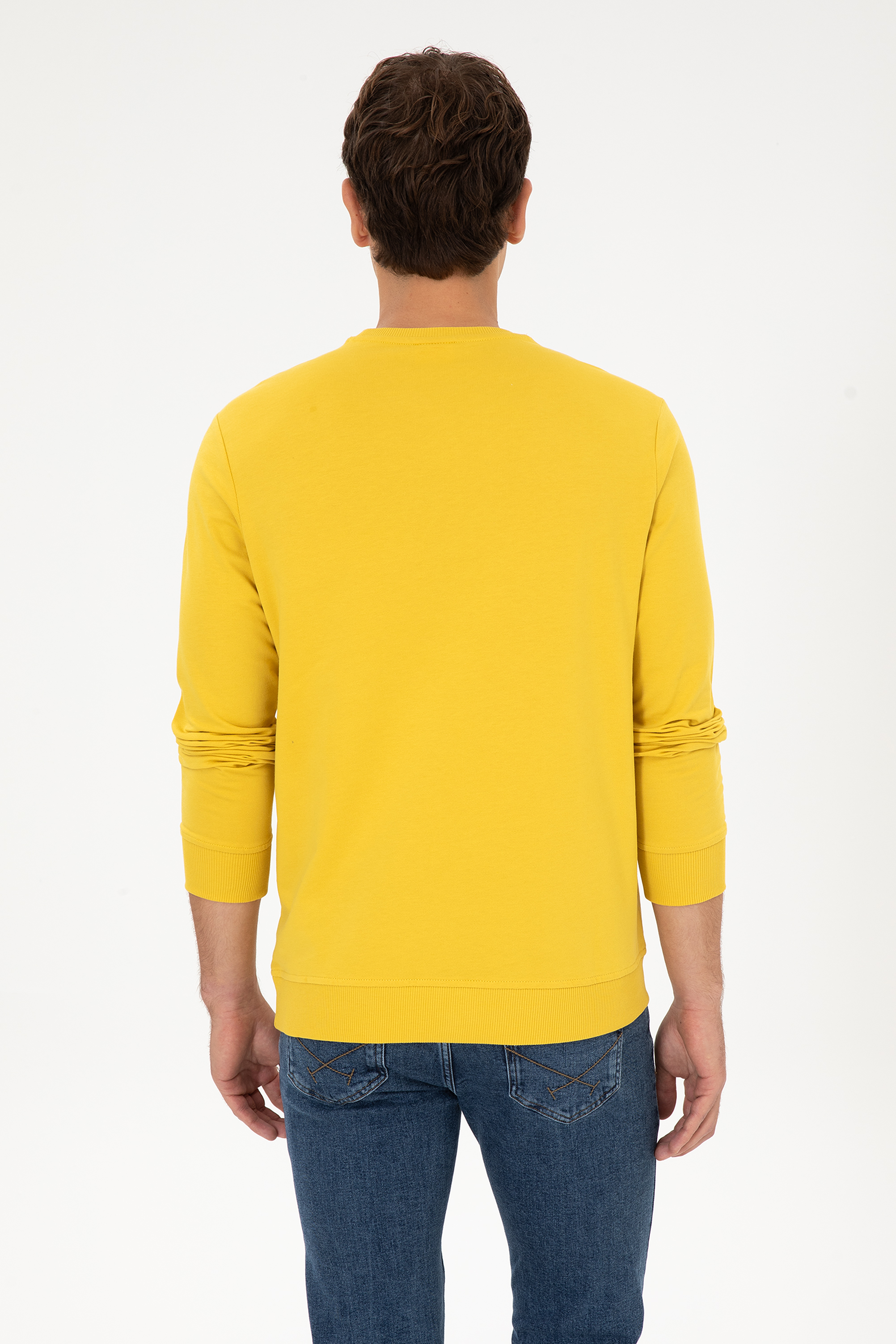 Erkek Sarı Basic Sweatshirt - 50307793043
