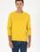 Erkek Sarı Basic Sweatshirt