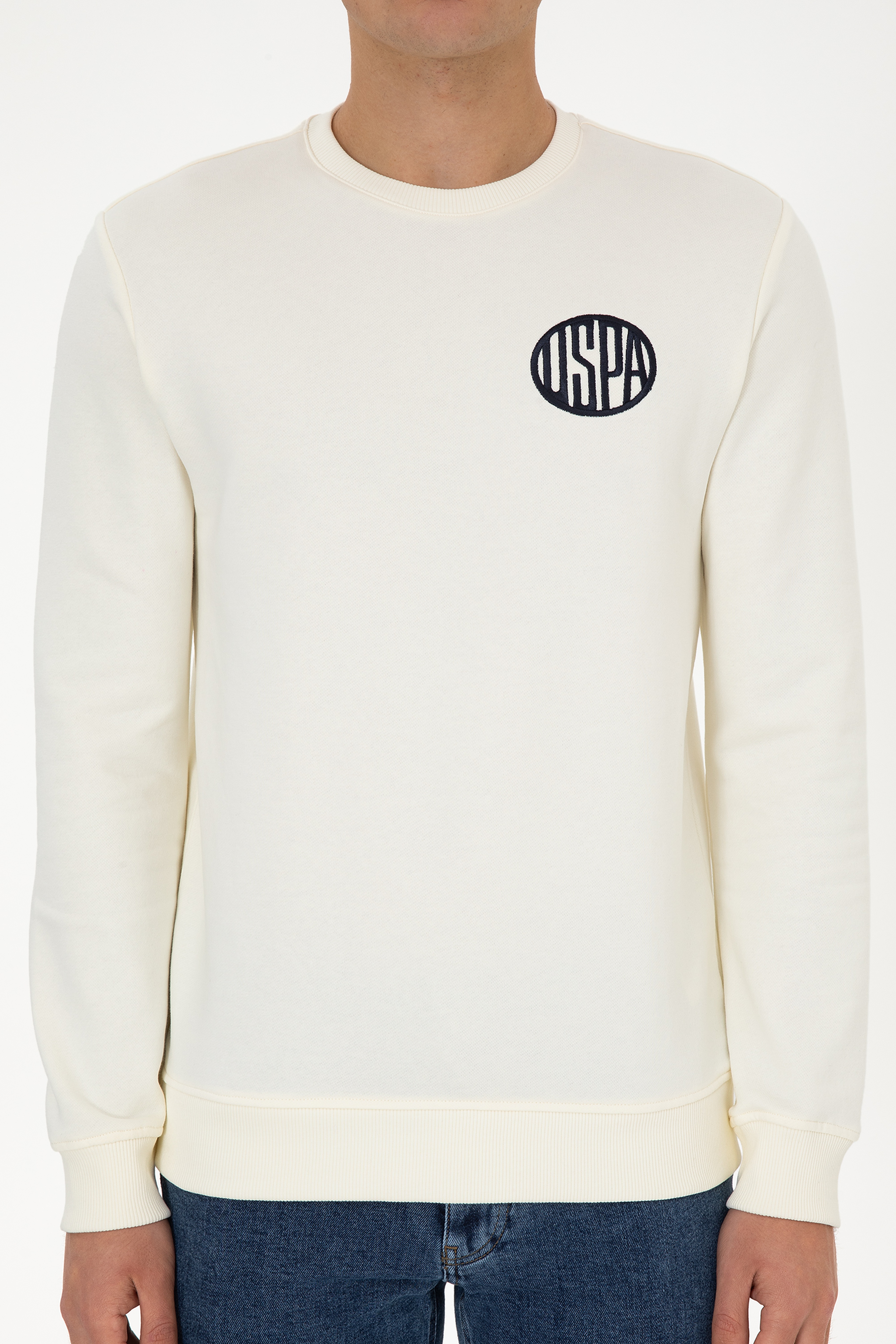 Erkek Regular Fit Bisiklet Yaka Krem Sweatshirt - Image 6