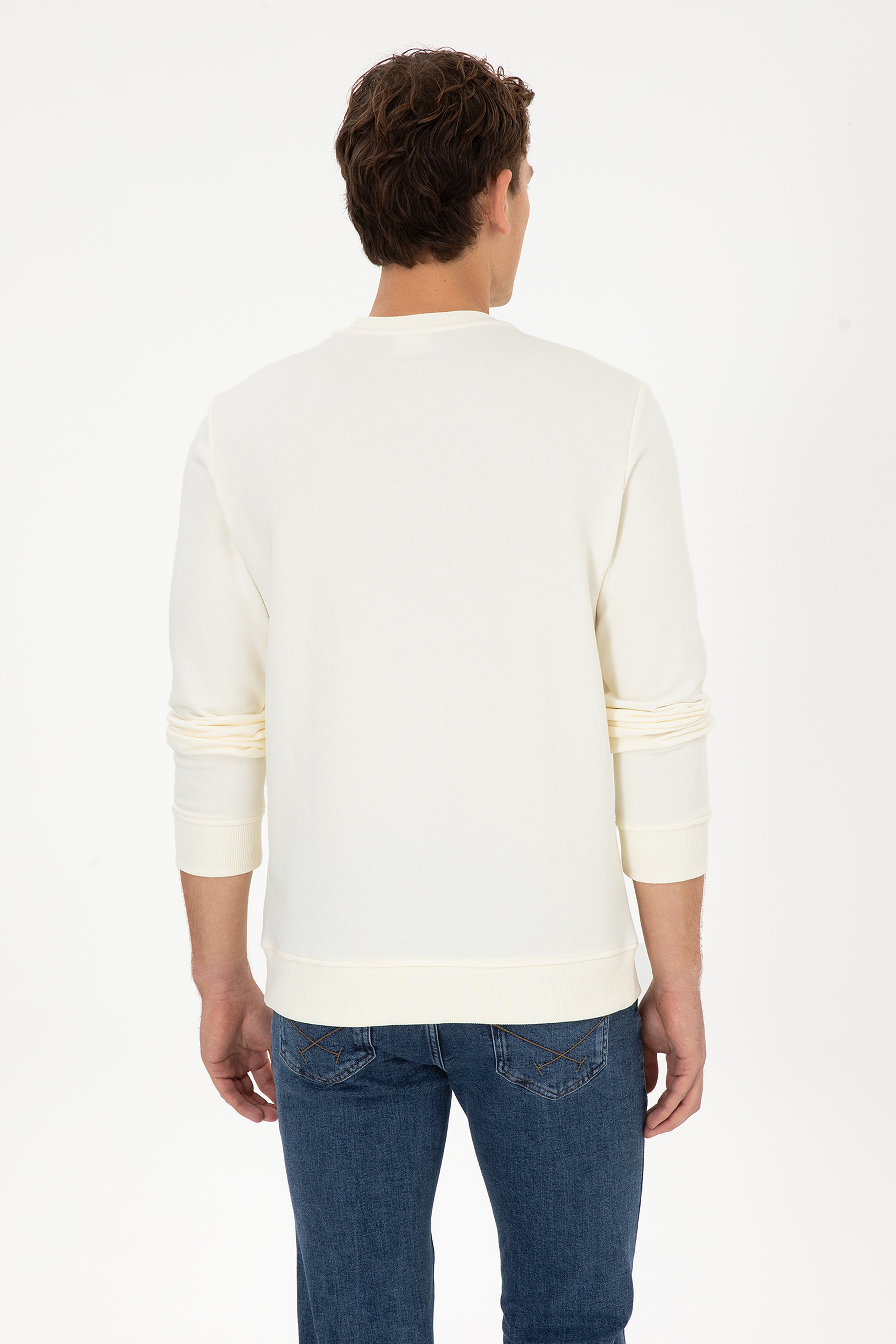 Erkek Regular Fit Bisiklet Yaka Krem Sweatshirt - Image 5