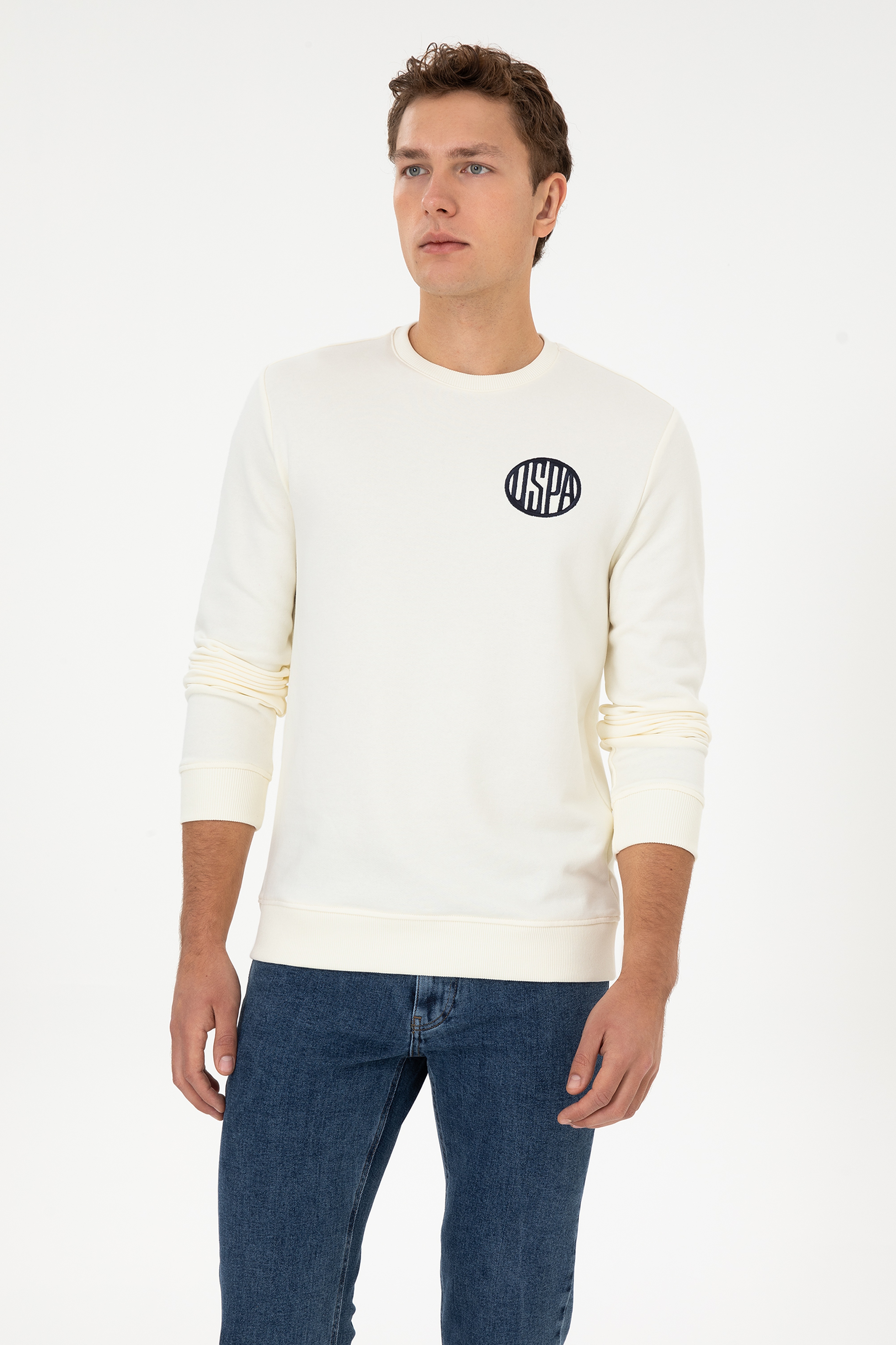 Erkek Regular Fit Bisiklet Yaka Krem Sweatshirt - Image 3