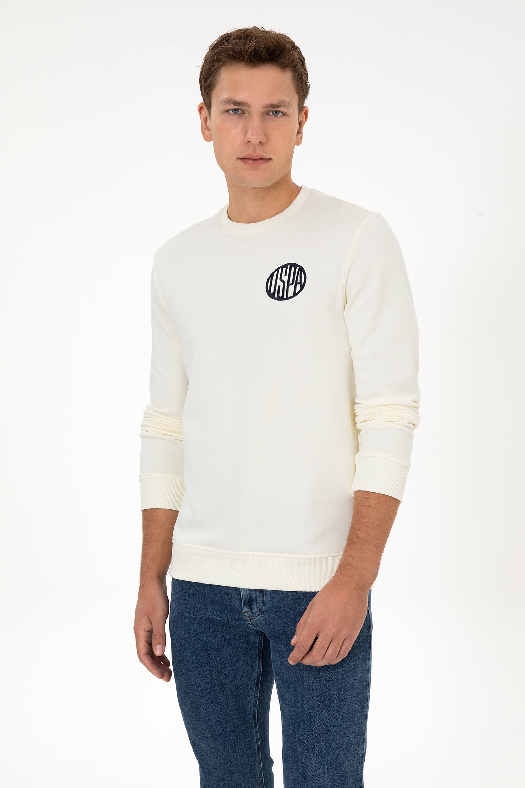 Erkek Regular Fit Bisiklet Yaka Krem Sweatshirt - Image 1