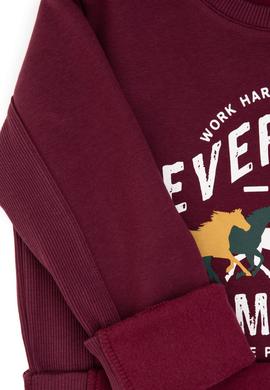 Erkek Çocuk Bordo Şardonlu Bisiklet Yaka Sweatshirt - 50316406004