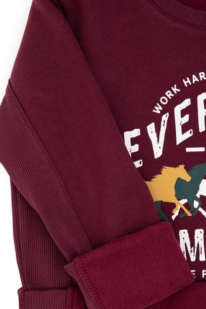 Erkek Çocuk Bordo Şardonlu Bisiklet Yaka Sweatshirt