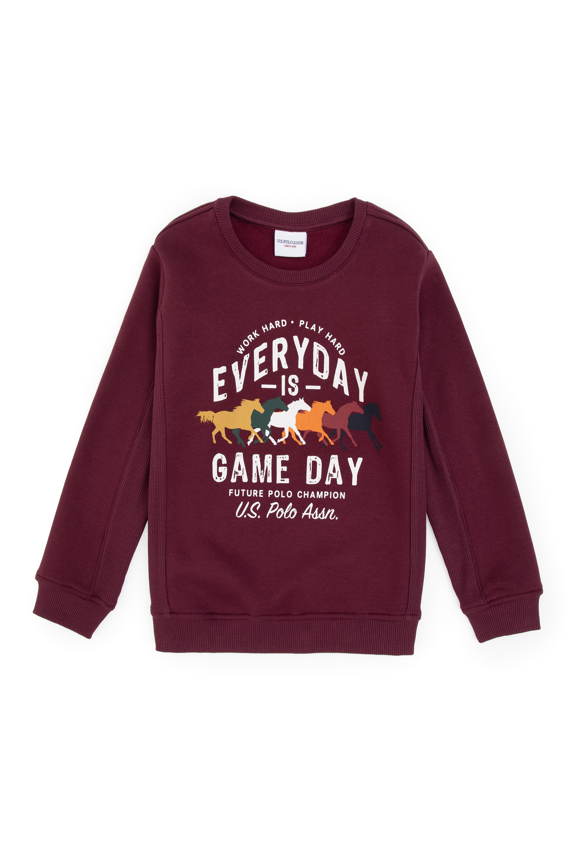 Erkek Çocuk Bordo Şardonlu Bisiklet Yaka Sweatshirt - Image 1