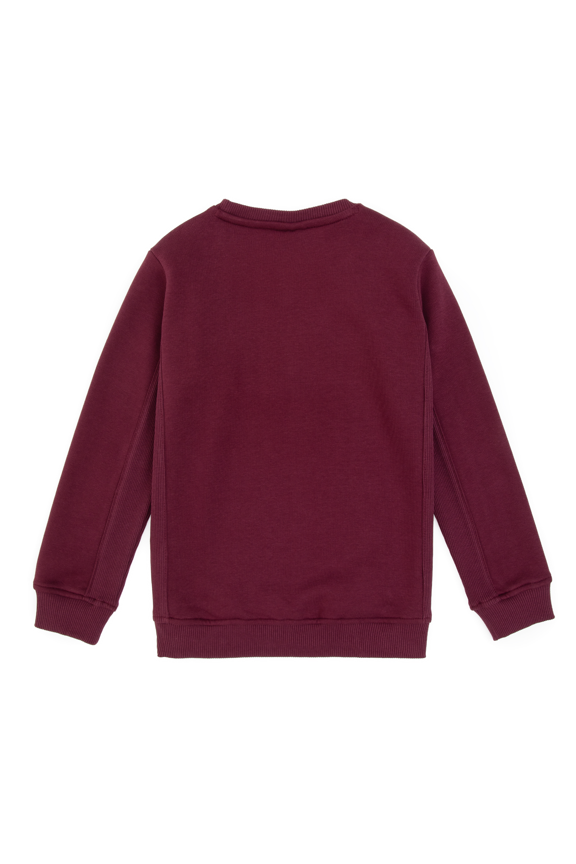 Erkek Çocuk Bordo Şardonlu Bisiklet Yaka Sweatshirt - Image 2