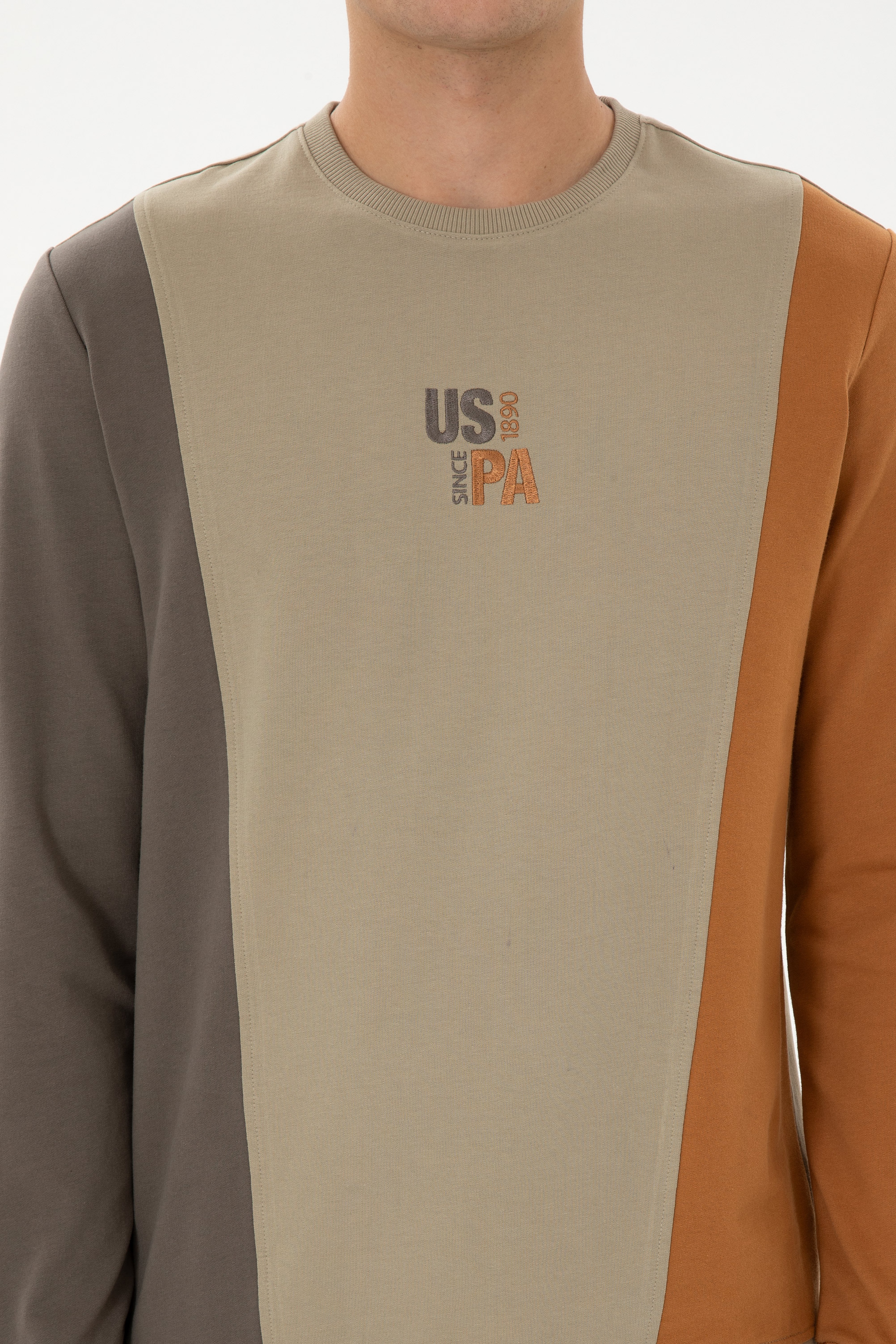 Erkek Regular Fit Bisiklet Yaka
 Açık Haki Sweatshirt - Image 6