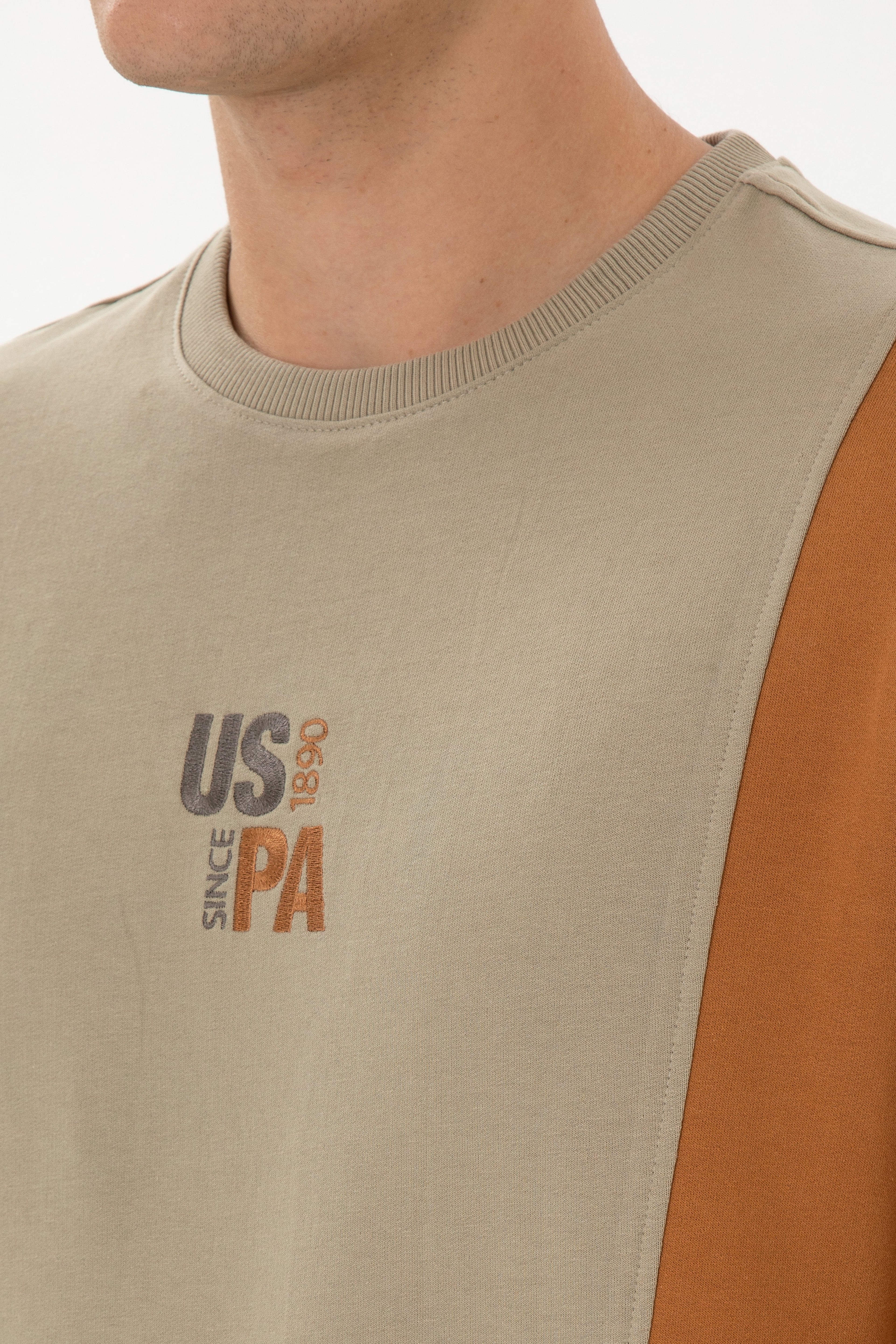 Erkek Regular Fit Bisiklet Yaka
 Açık Haki Sweatshirt - Image 7