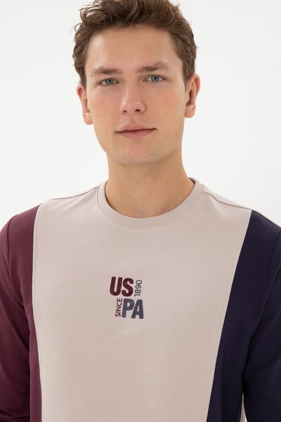 Erkek Regular Fit Bisiklet Yaka Taş İnce Sweatshirt