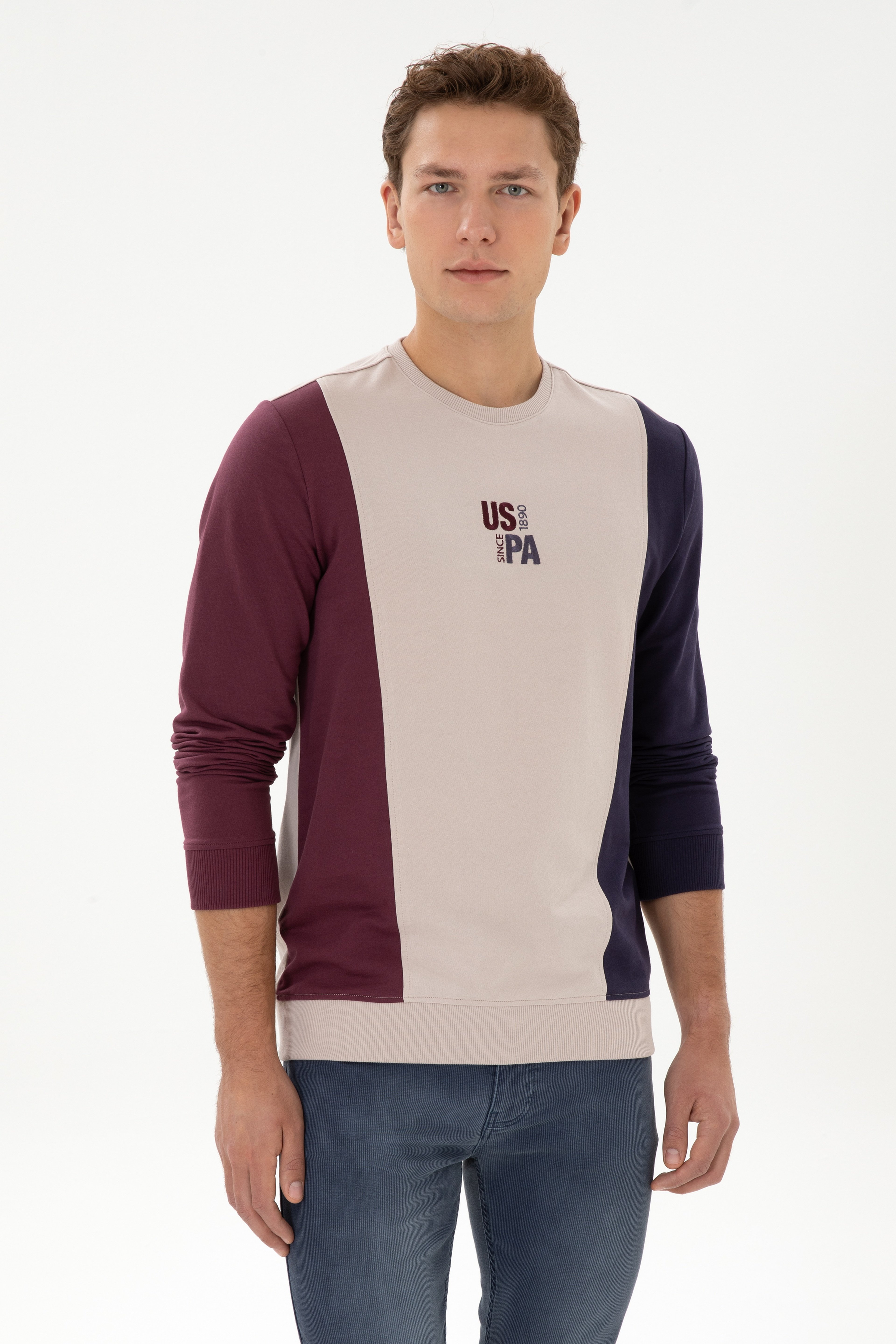 Erkek Regular Fit Bisiklet Yaka Taş İnce Sweatshirt