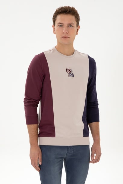 Erkek Regular Fit Bisiklet Yaka Taş İnce Sweatshirt